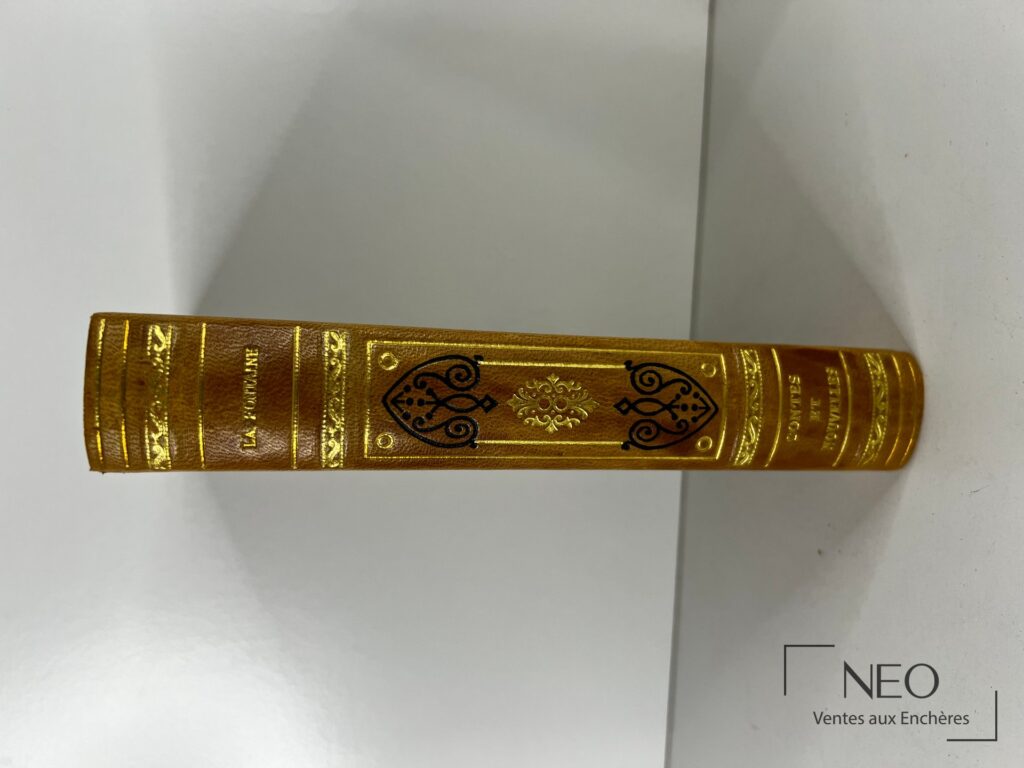 Dos d’un livre relié en demi chagrin beige