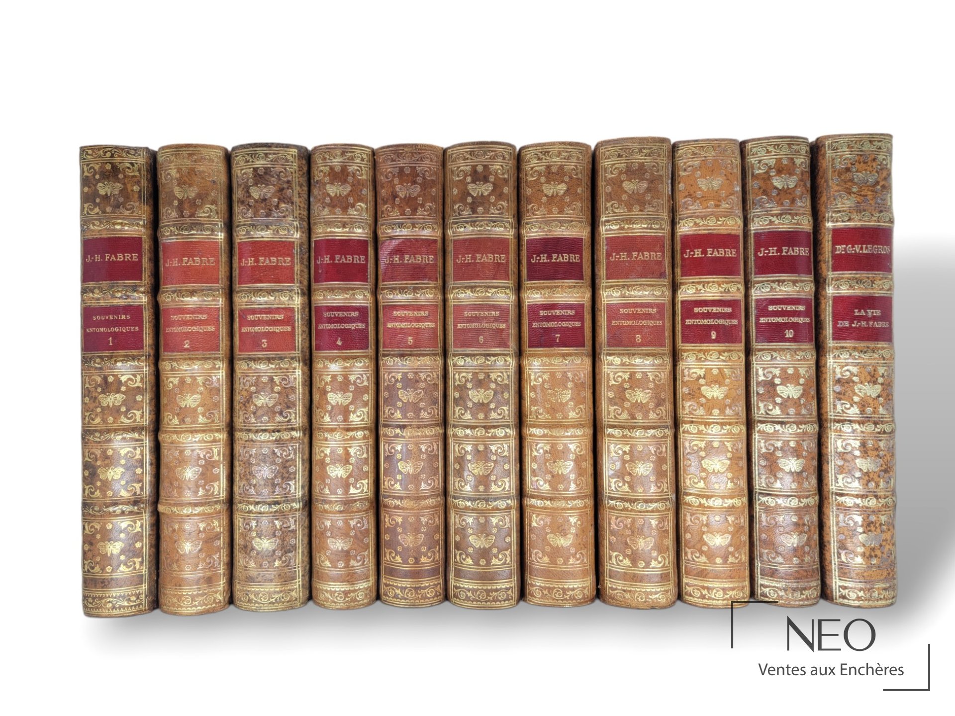 Dix volumes reliés de Jean-Henri Fabre alignés