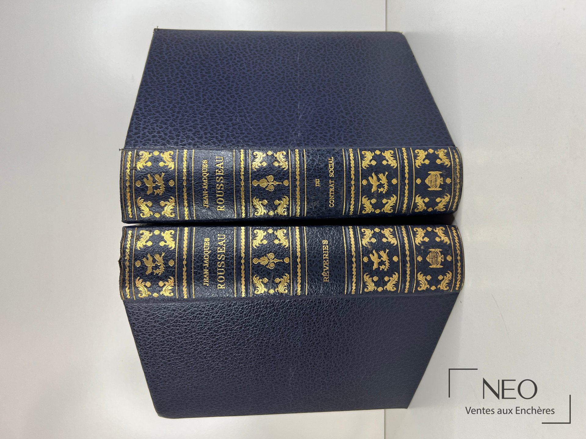 Deux volumes reliés en toile bleue avec dos ornés de dorures