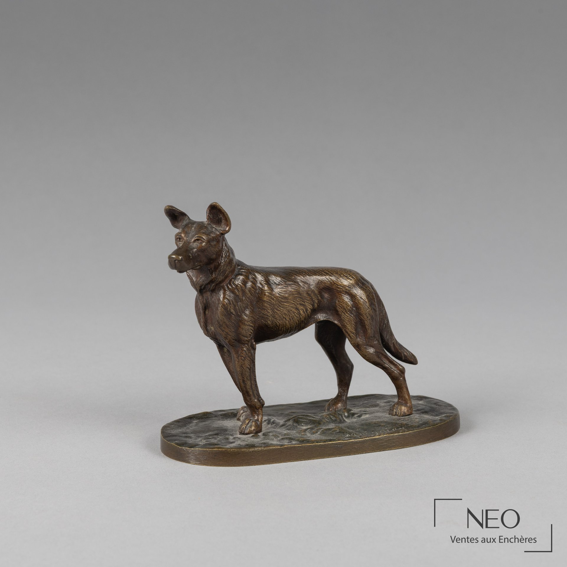 D’après Jules Moigniez, Chien aux aguets, bronze à patine brune