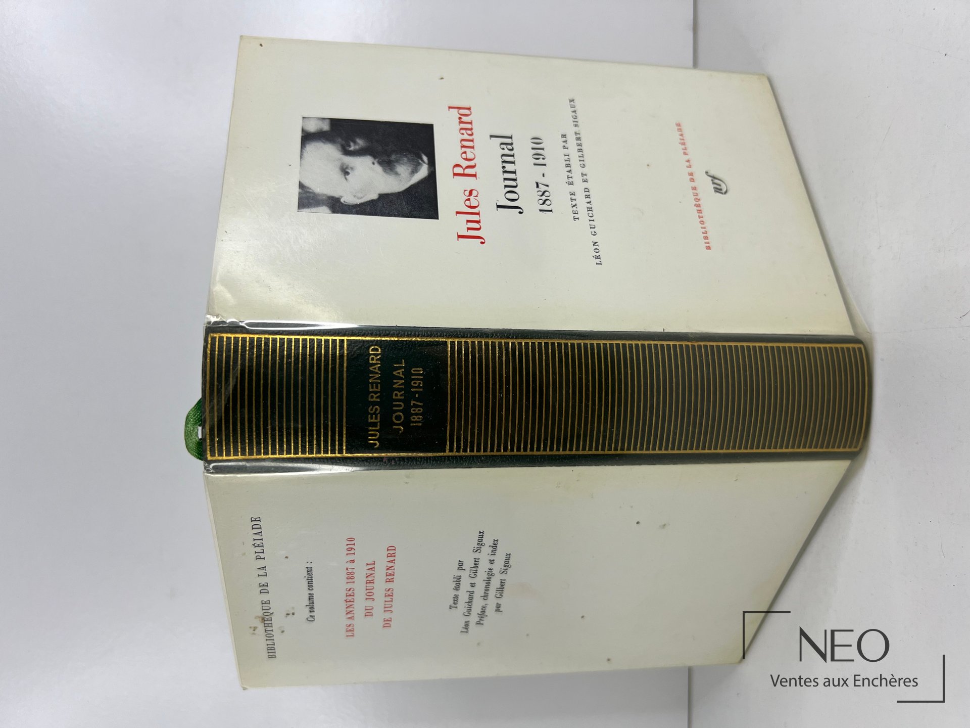 Couverture du volume Jules Renard Journal 1887-1910 avec jaquette illustrée