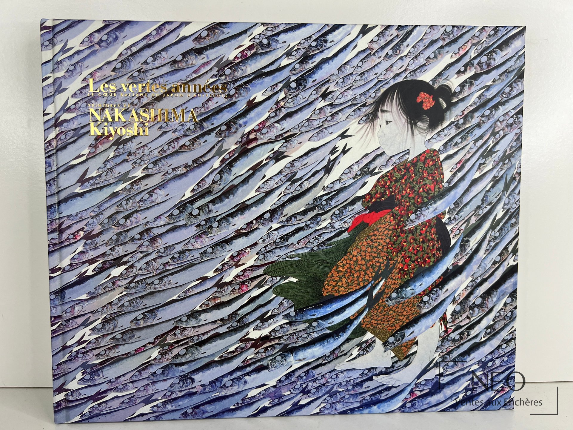 Couverture illustrée du livre Les vertes années de Kiyoshi Nakashima