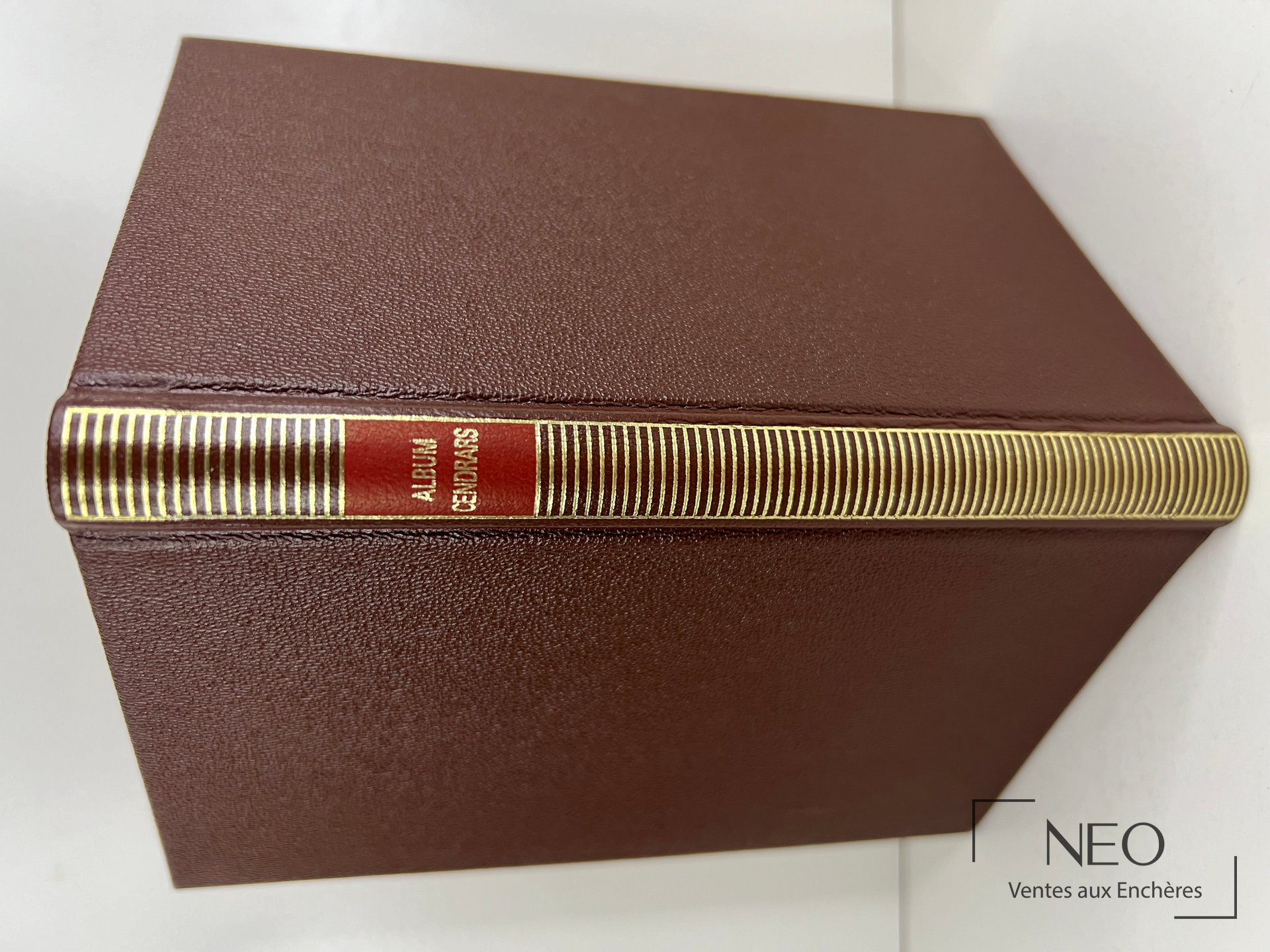 Couverture marron et dos doré de l'album La Pléiade Cendrars