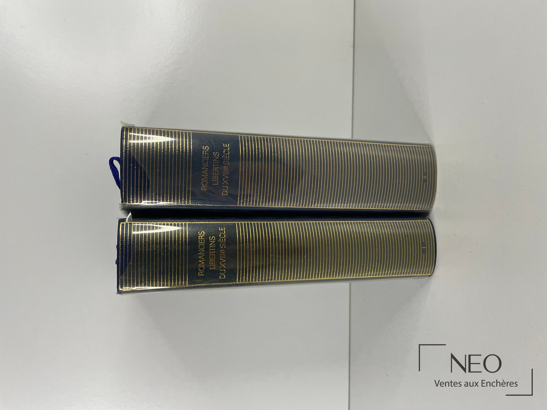 Deux tomes de La Pléiade au cartonnage bleu nuit et filets dorés