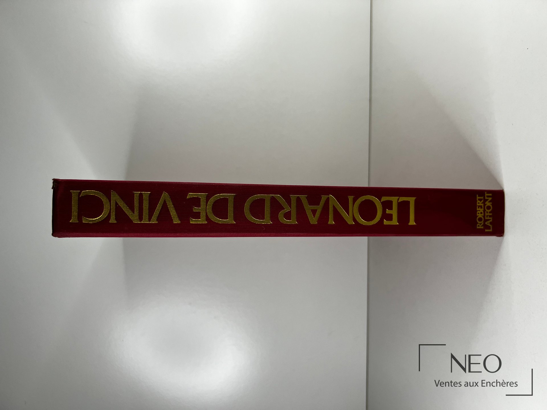 Dos de couverture rouge titré Léonard de Vinci en lettres dorées