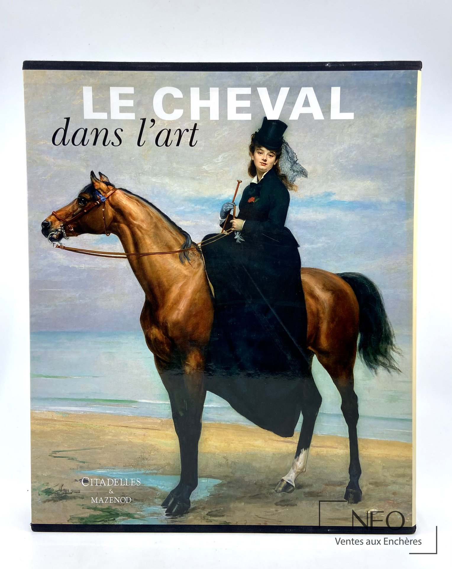Couverture illustrée du livre Le cheval dans l'art avec une cavalière sur un cheval.