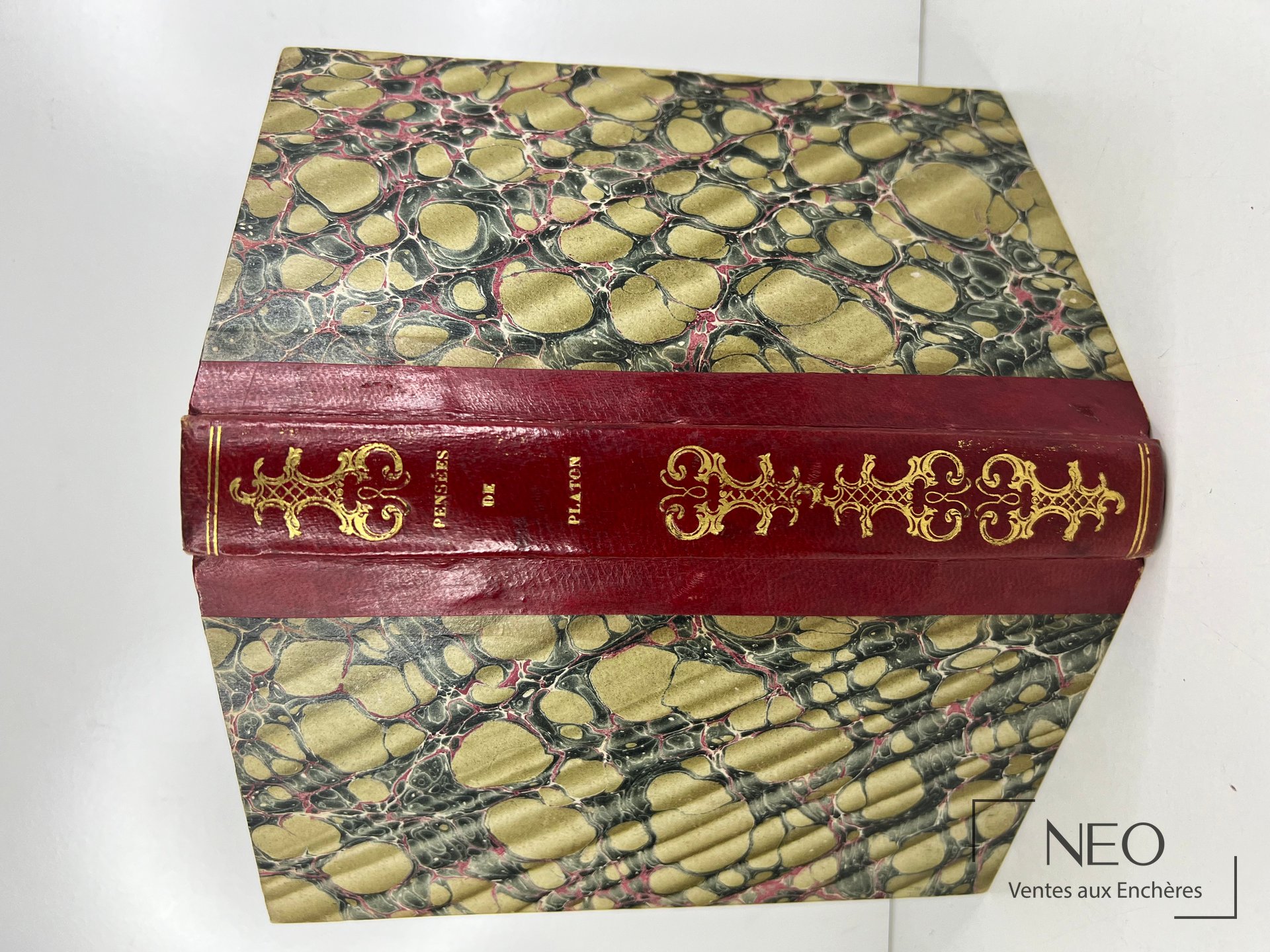Reliure marbrée et dos rouge doré d'un livre ancien