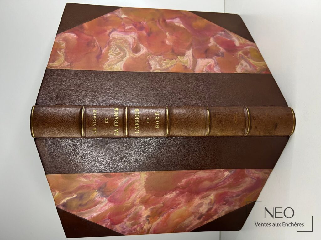 Reliure en demi chagrin brun avec plats marbrés et dos doré du livre Le visage de la France