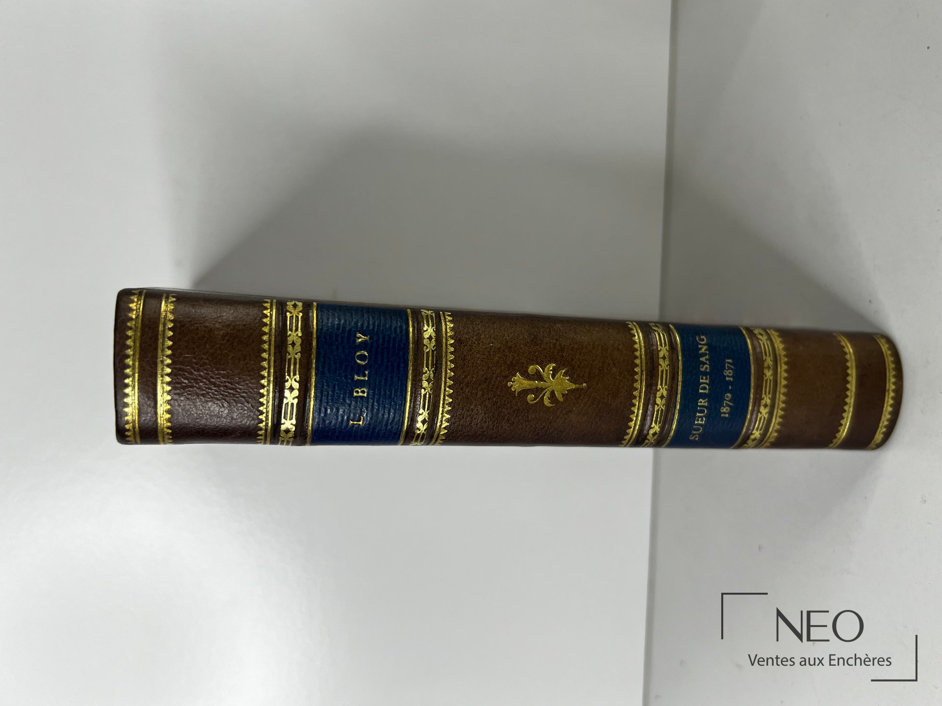 Dos d’un livre ancien en demi basane avec titres dorés et caissons ornés