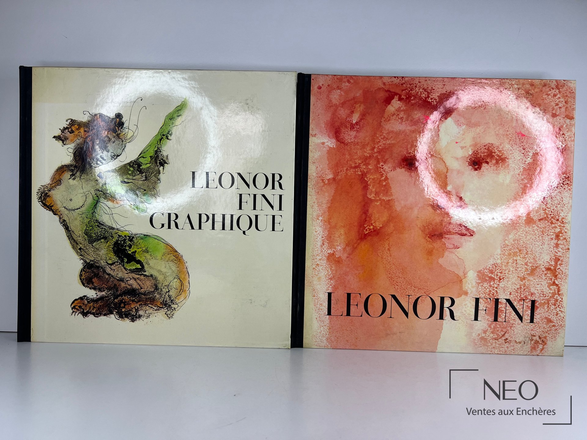 Deux volumes Leonor Fini Graphique aux couvertures illustrées