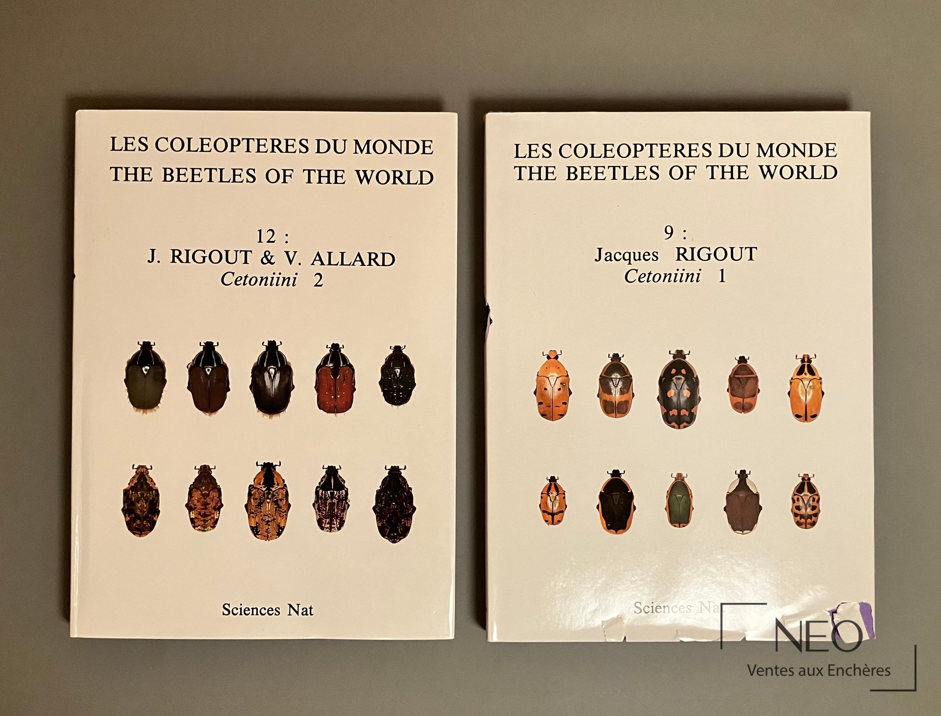 Les Coléoptères du Monde, tomes 9 et 12, Cetoniini