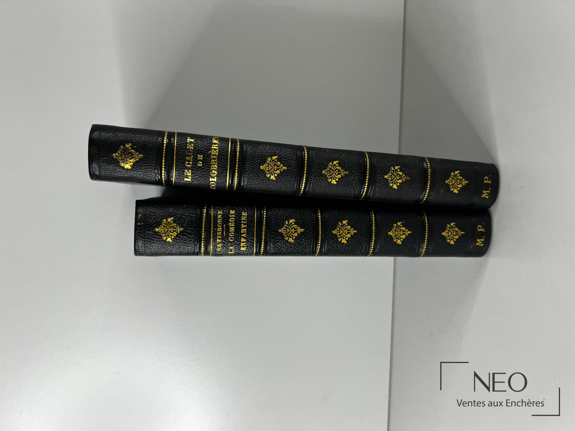 Deux volumes reliés en demi chagrin bleu