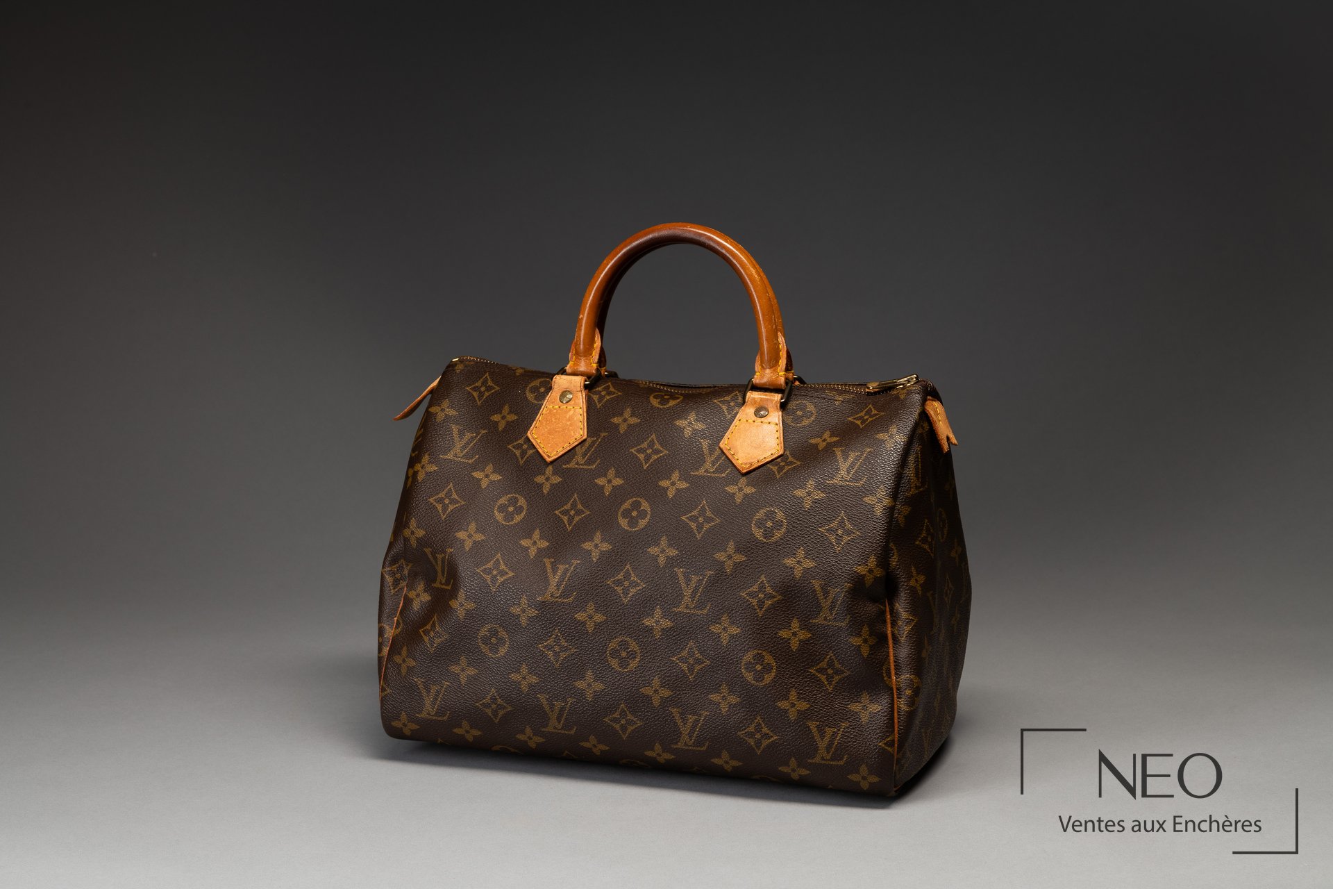 Sac Louis Vuitton Speedy 30 cm en toile monogramme avec anses en cuir naturel