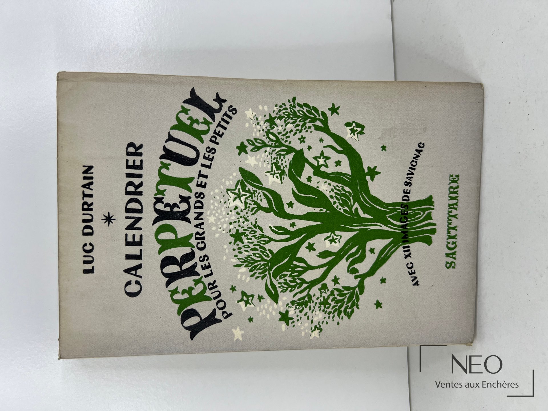 Couverture illustrée de Luc Durtain avec arbre vert et noir sur fond beige
