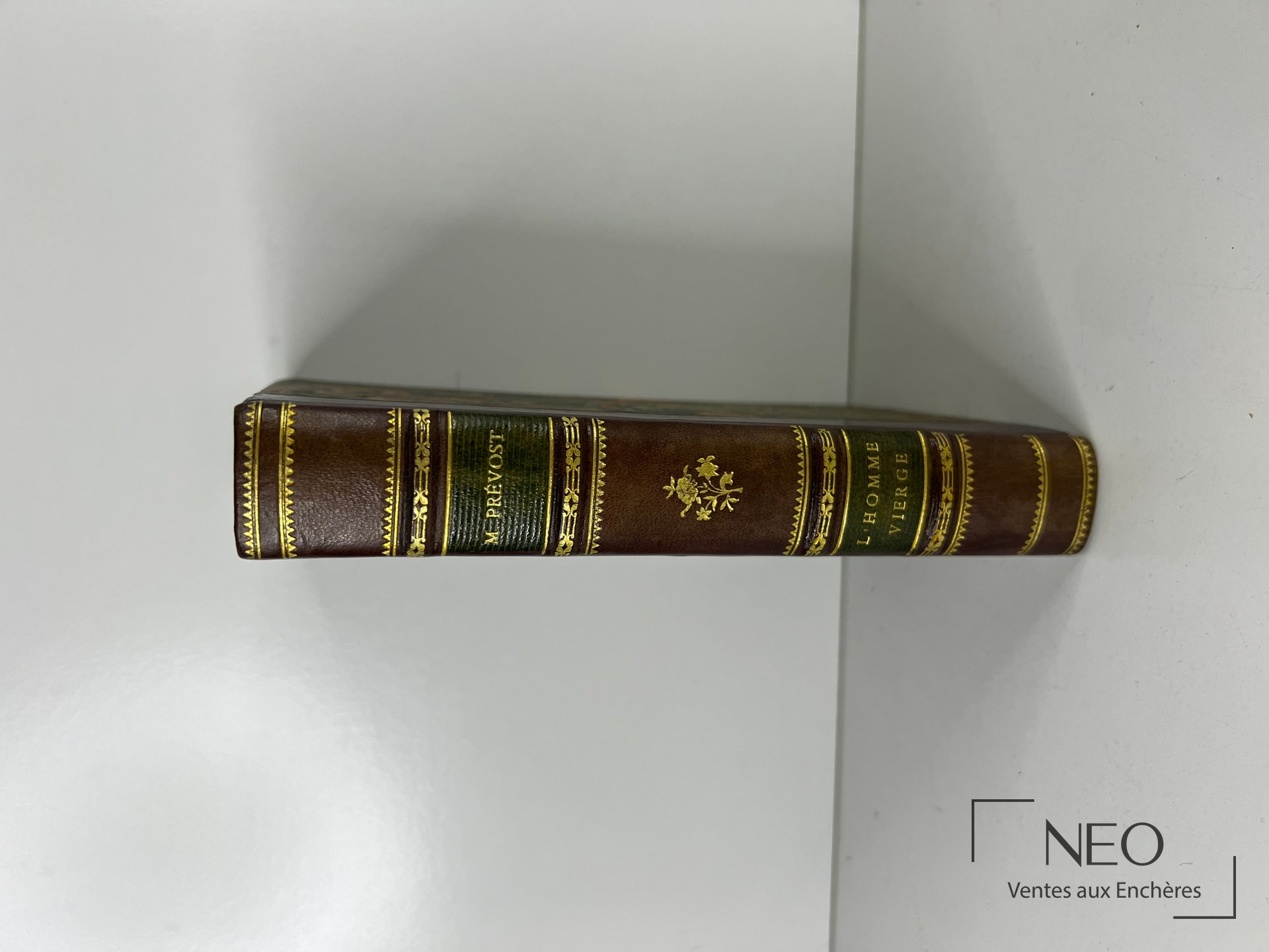 Dos d'un livre relié en demi basane avec décor doré et titre au dos