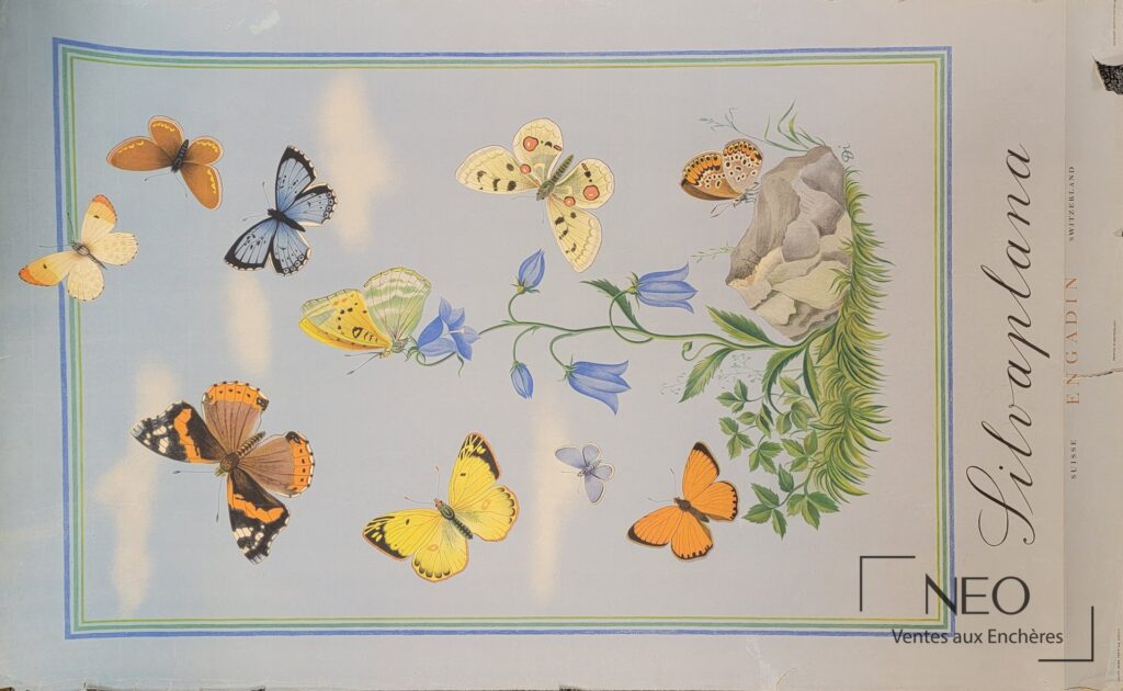 Affiche colorée Silverplana