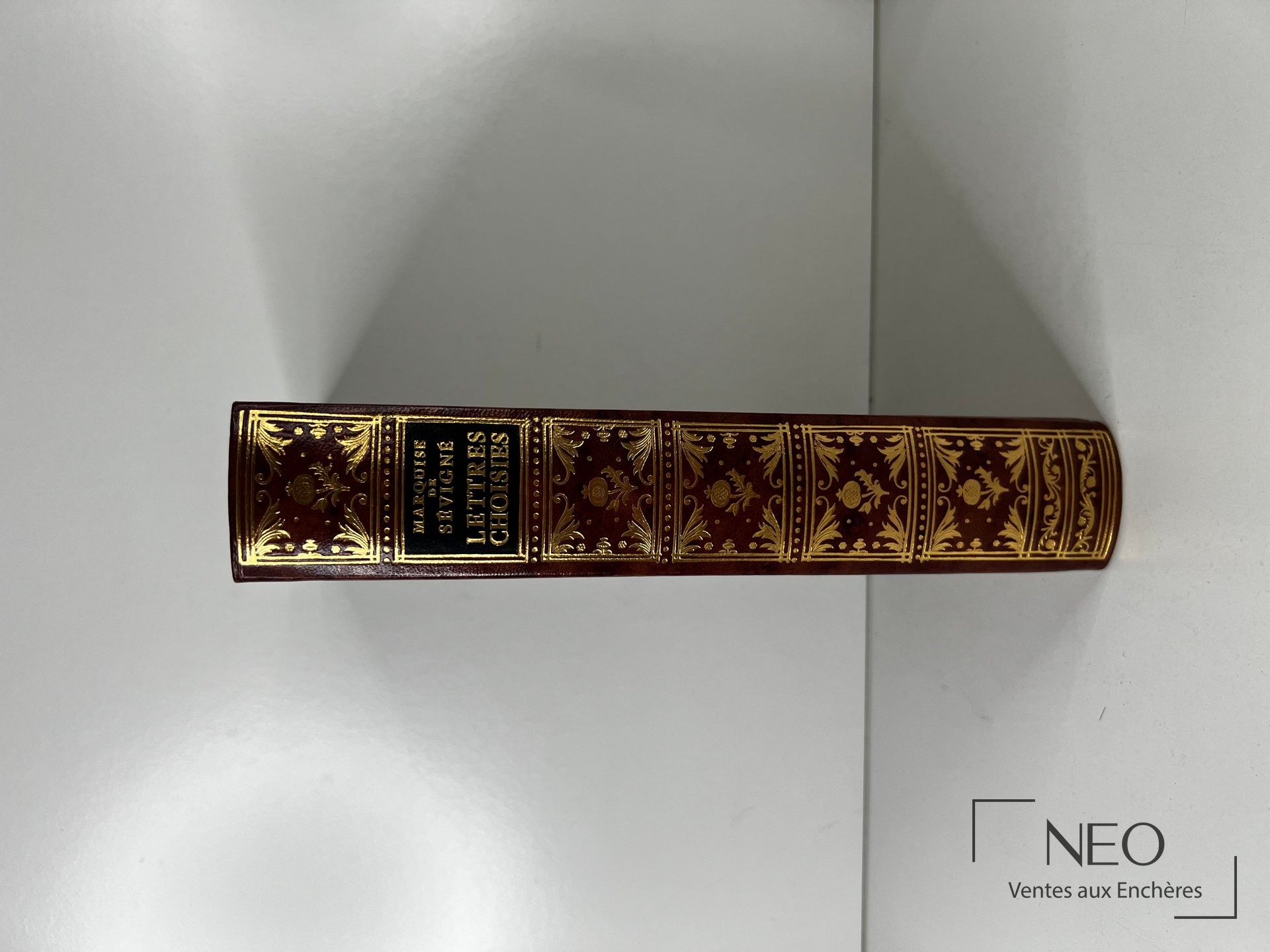 Dos d'un livre relié en maroquin brun avec titre et ornements dorés