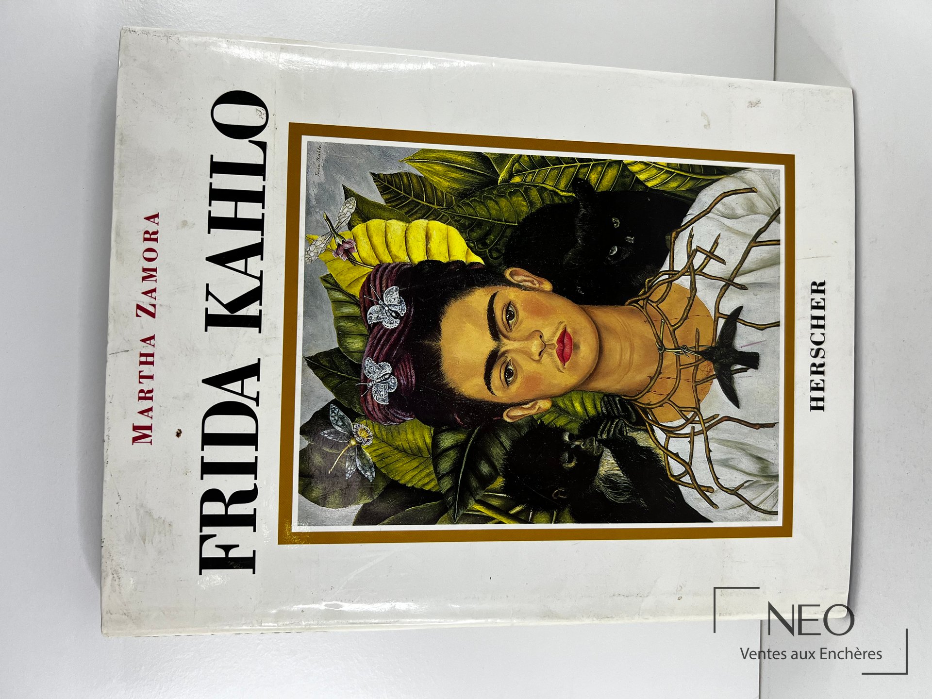Couverture illustrée du livre Frida Kahlo de Martha Zamora