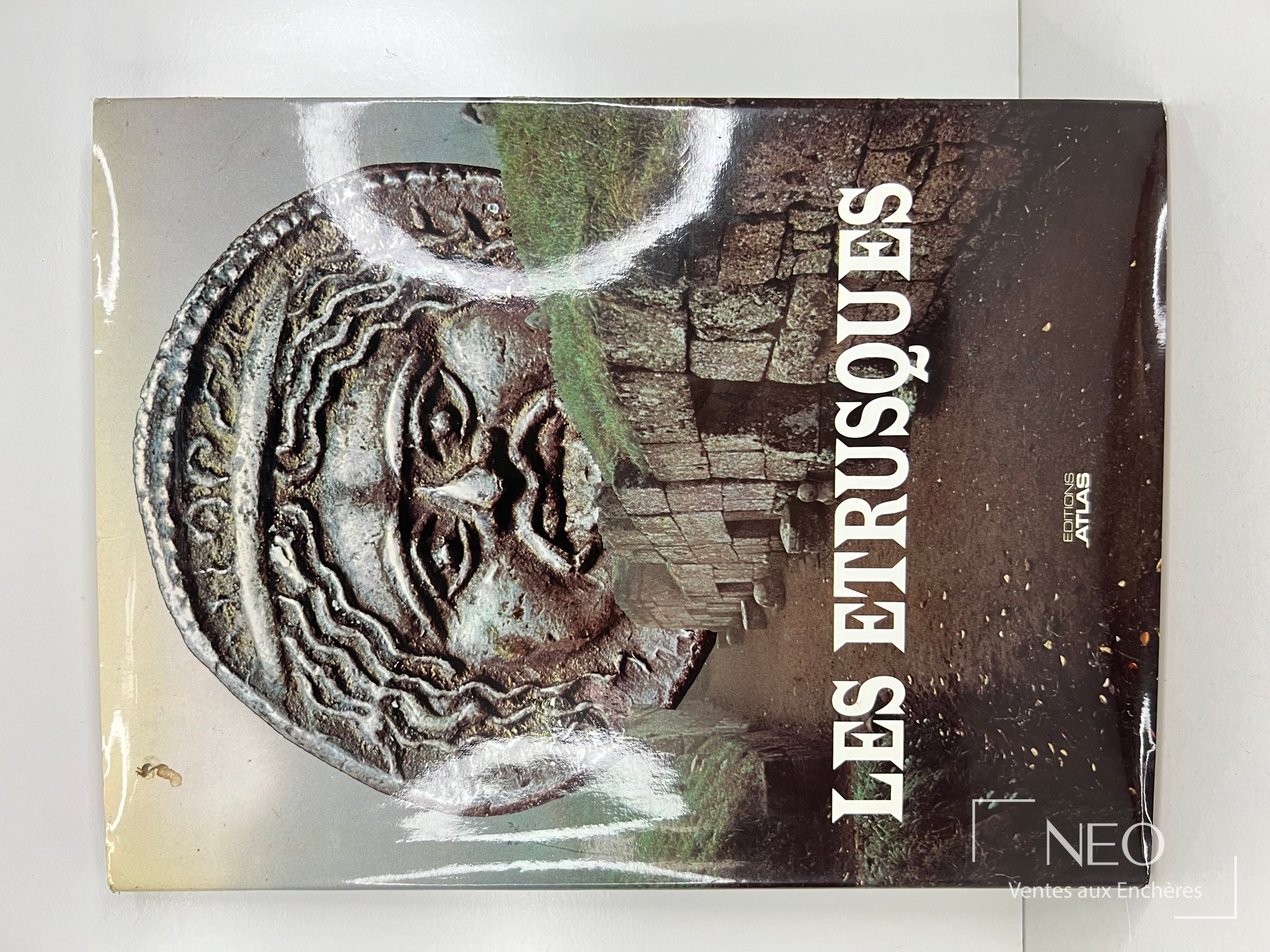 Couverture illustrée du livre Les Etrusques de Mauro Cristofani.
