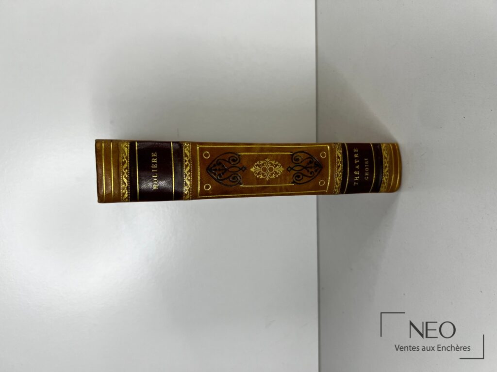Dos de reliure en demi basane décoré de dorures avec le nom Moliere et le titre Theatre choisi