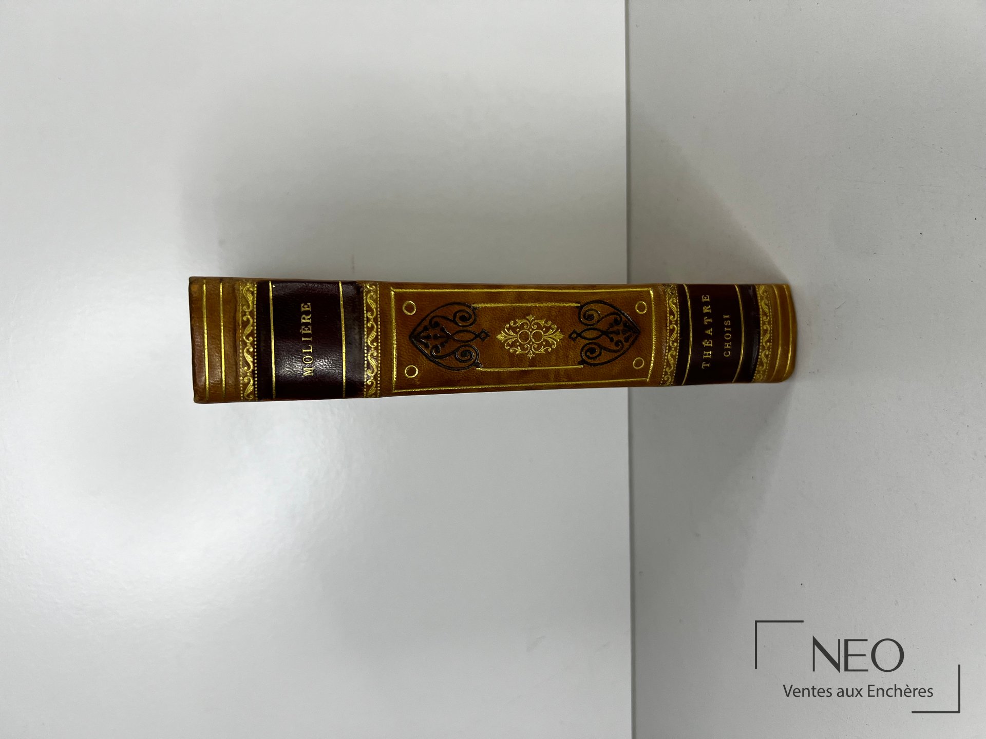 Dos de reliure en demi basane décoré de dorures avec le nom Moliere et le titre Theatre choisi