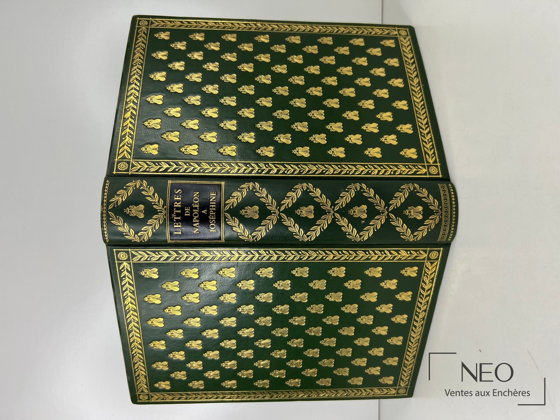 Couverture verte ornée de motifs dorés avec titre au dos