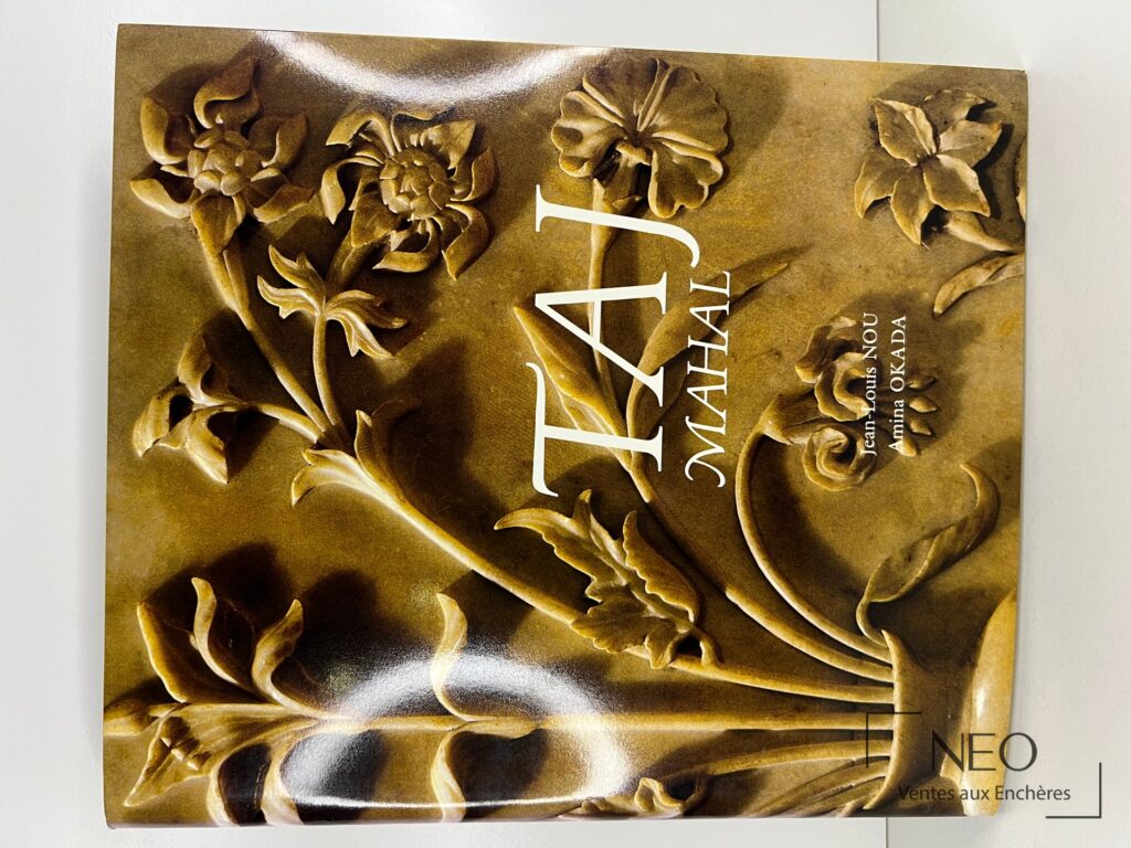 Couverture illustrée du livre Taj Mahal de Jean-Louis Nou et Amina Okada