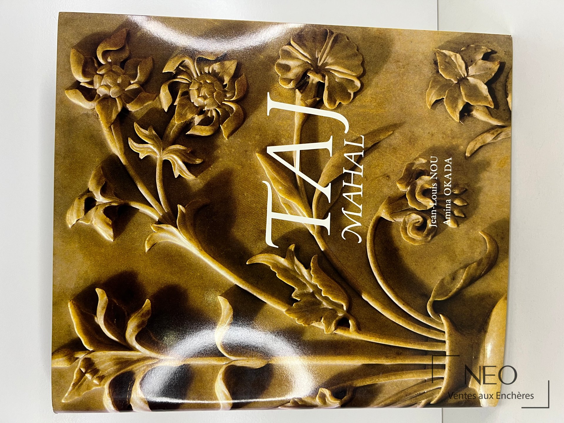 Couverture illustrée du livre Taj Mahal de Jean-Louis Nou et Amina Okada