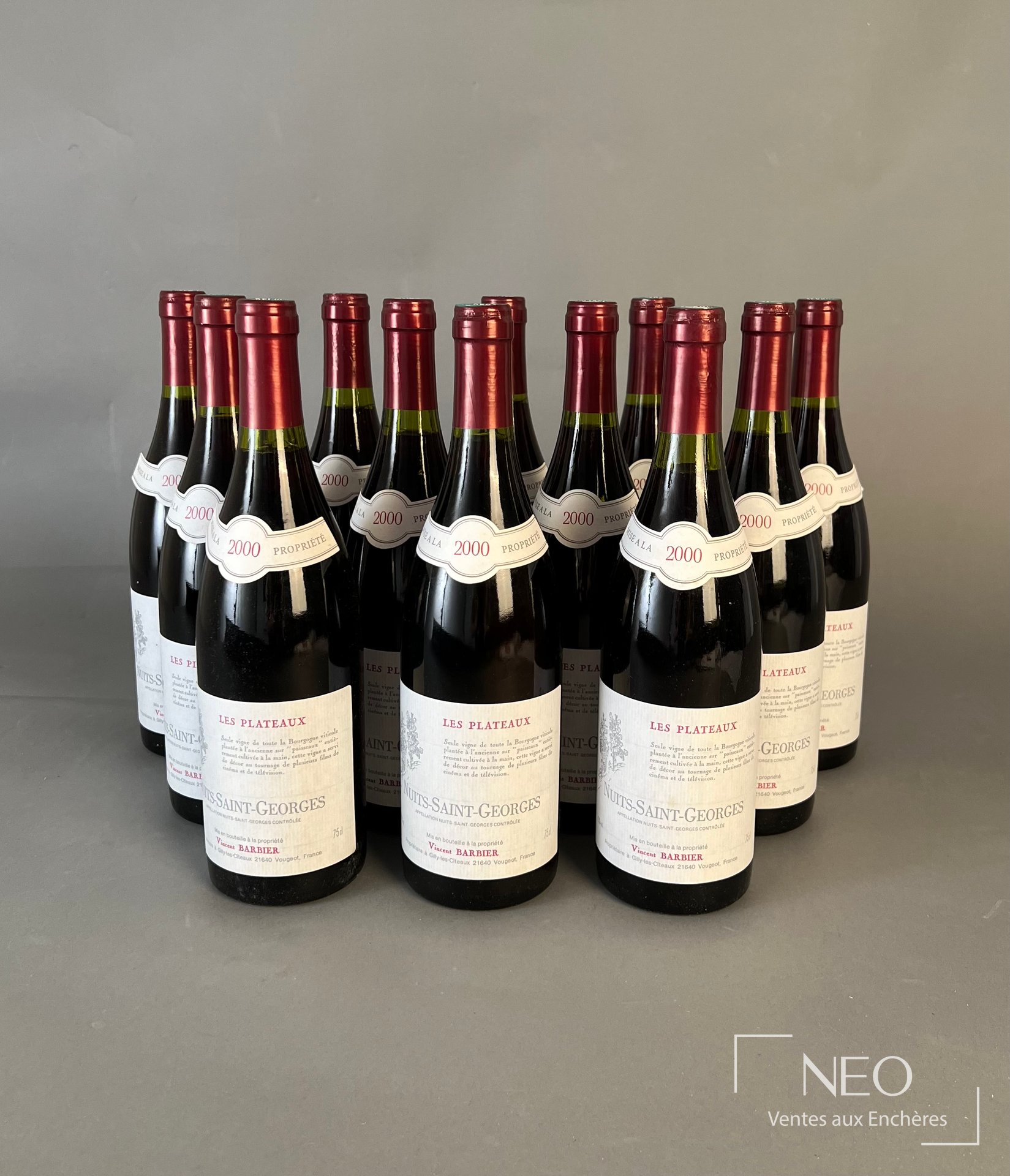 Douze bouteilles de Nuits-Saint-Georges Les Plateaux