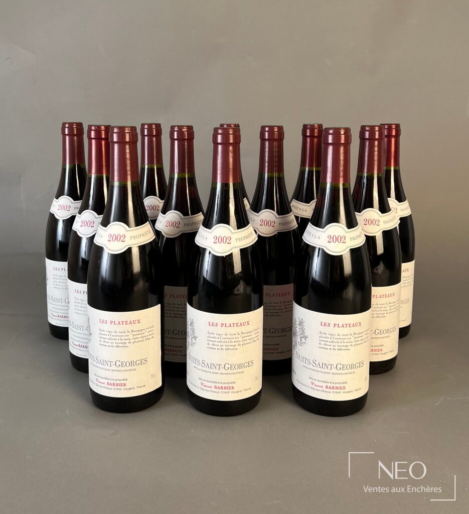 Douze bouteilles de Nuits-Saint-Georges Les Plateaux 2002 alignées