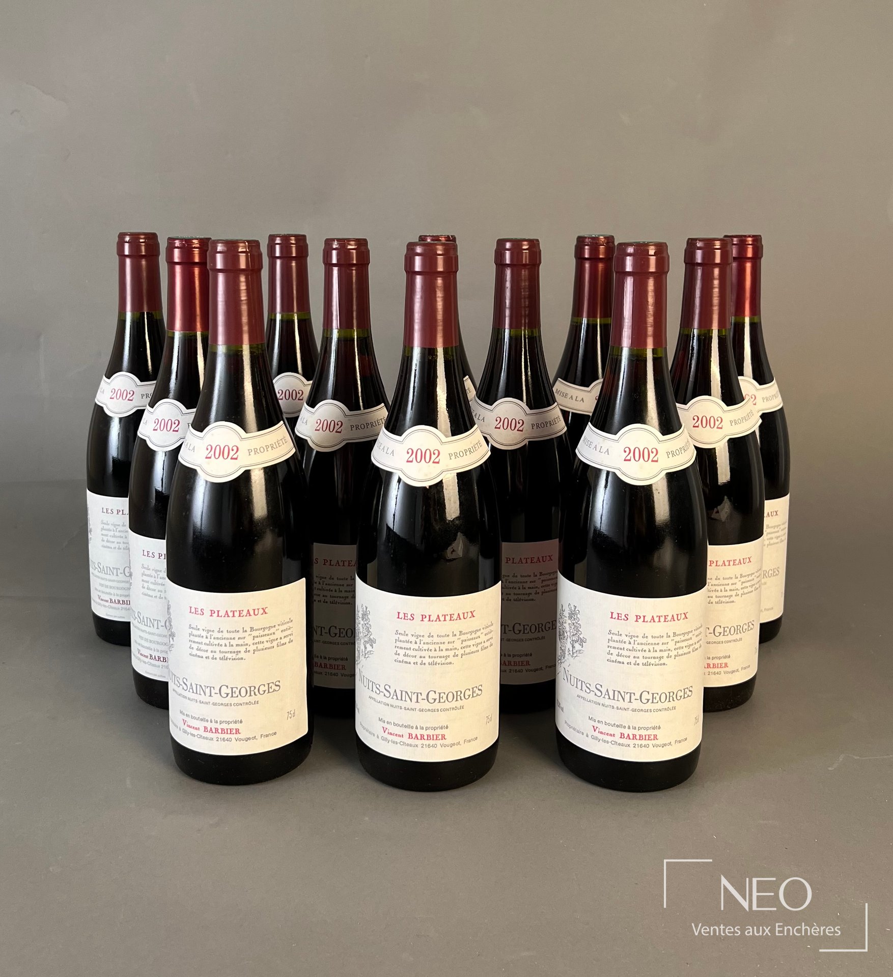 12 bouteilles Nuits-Saint-Georges Les Plateaux Vincent Barbier 2002