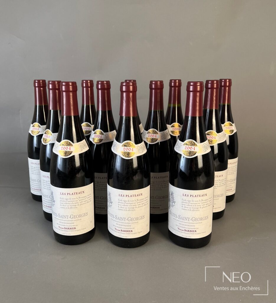 Douze bouteilles de Nuits-Saint-Georges « Les Plateaux » de Vincent Barbier alignées sur fond gris