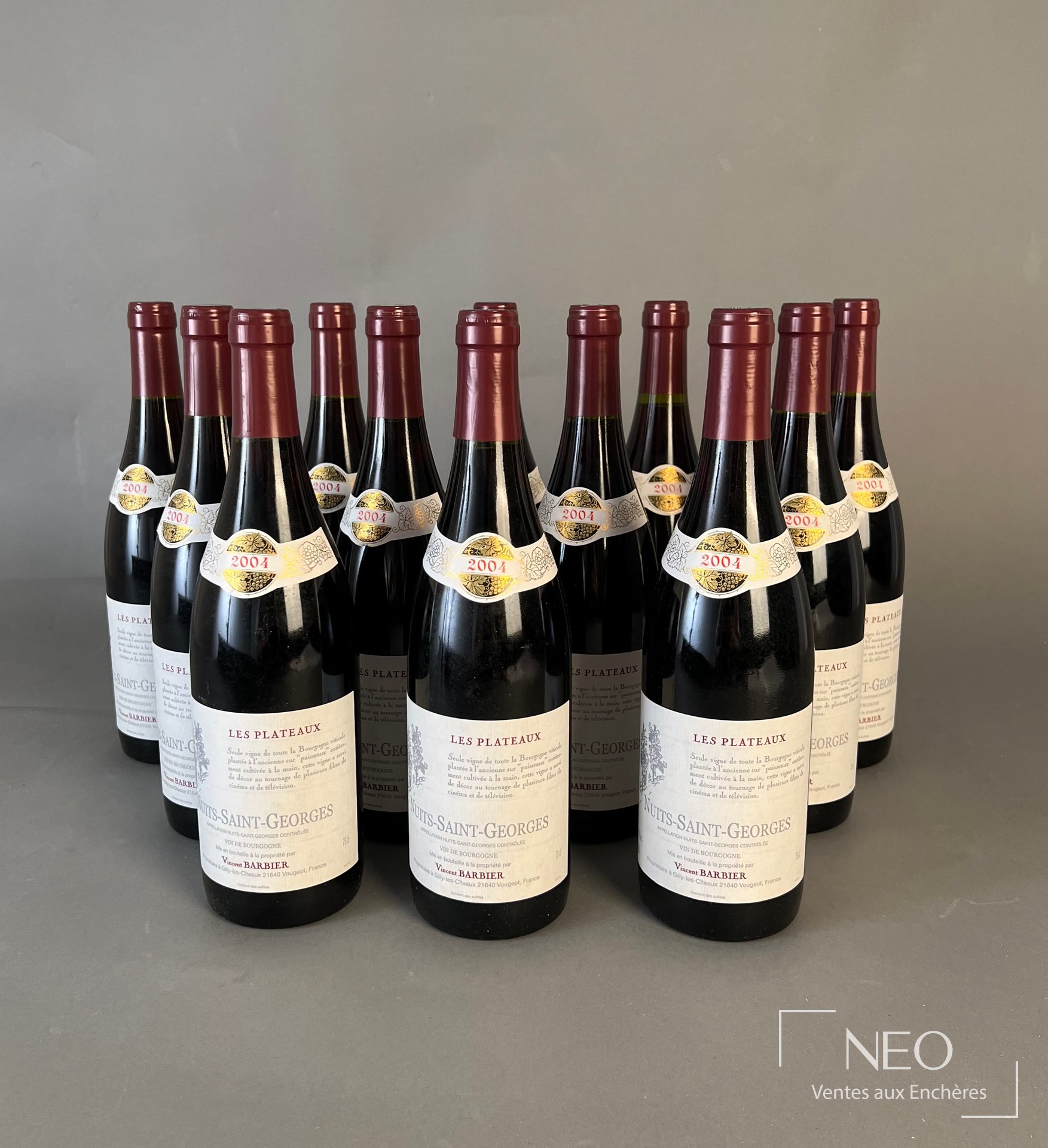 Douze bouteilles de Nuits-Saint-Georges « Les Plateaux » de Vincent Barbier alignées sur fond gris