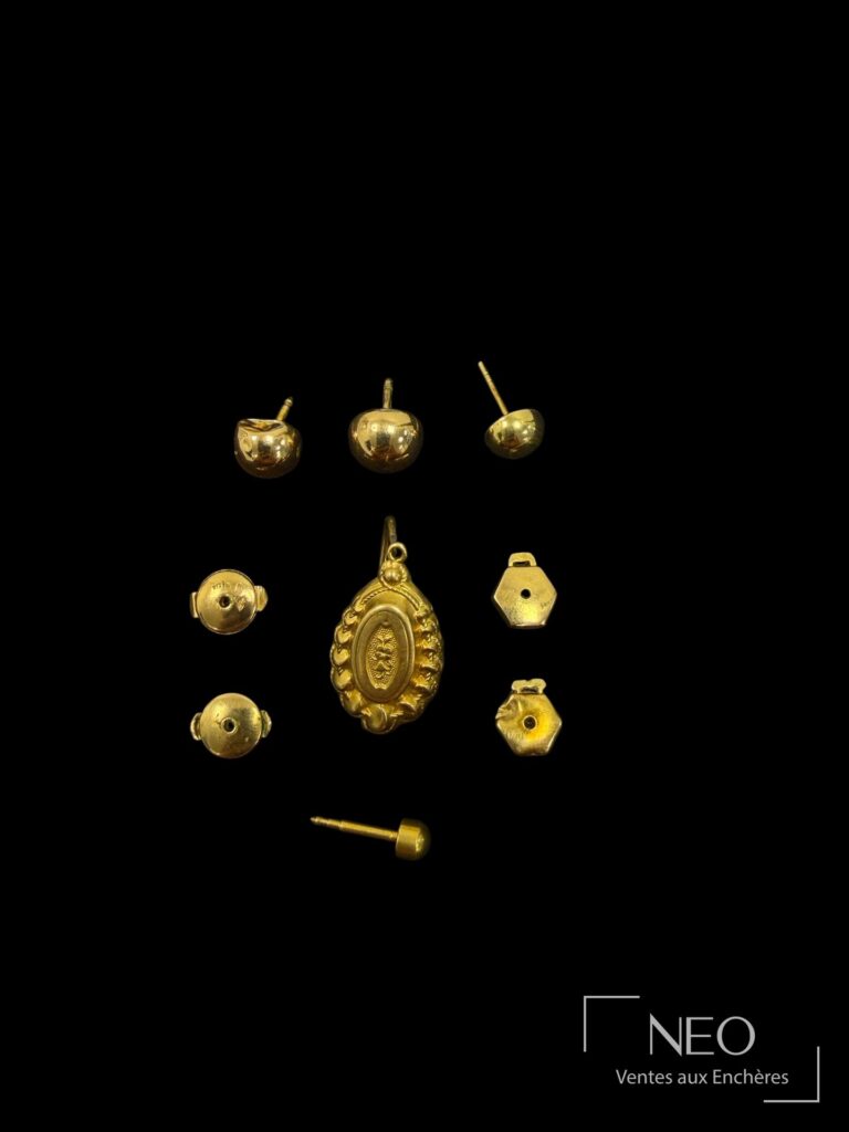 Ensemble de puces d’oreille