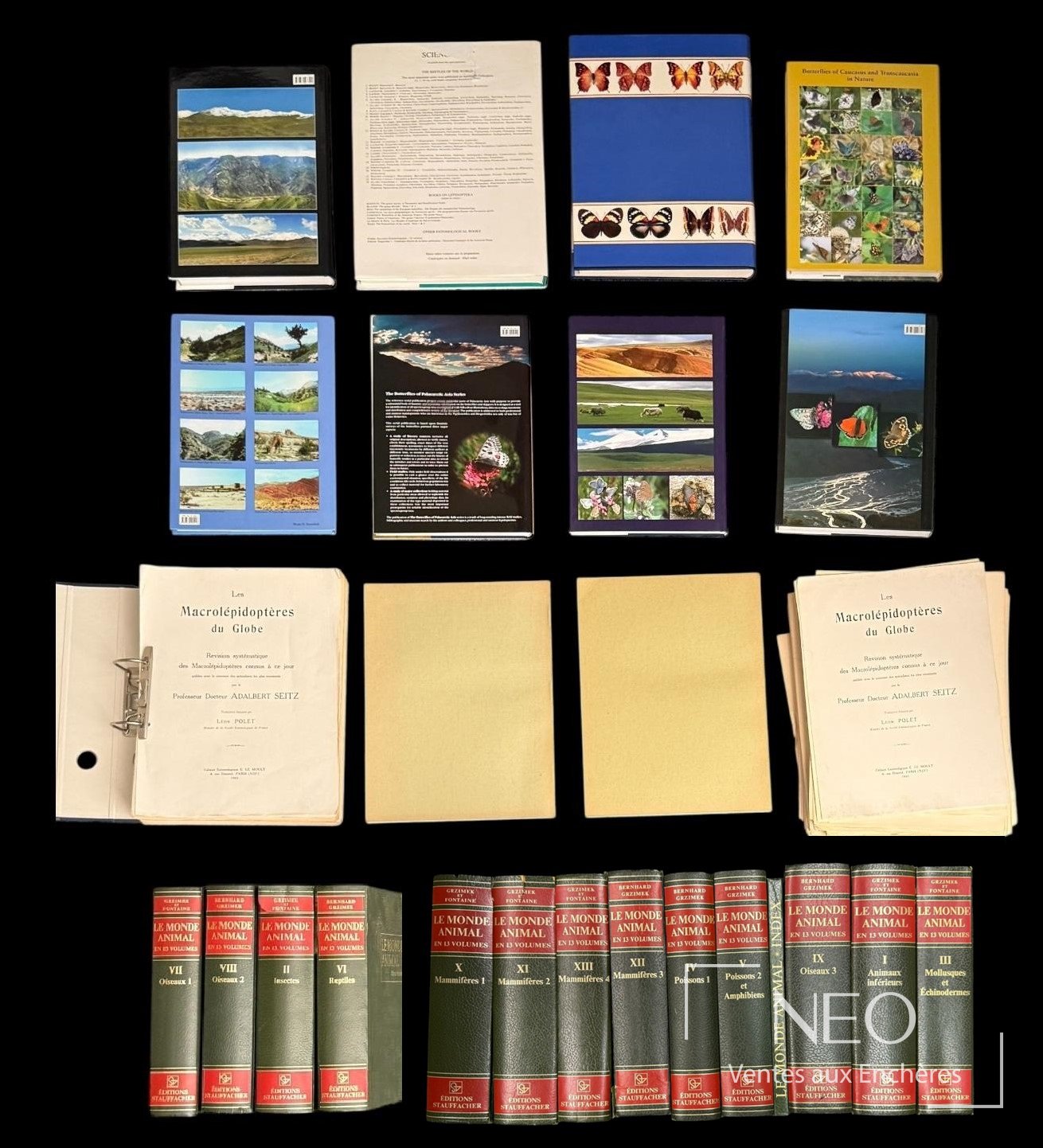 Ensemble de livres naturalistes et volumes sur les papillons présenté sur fond noir