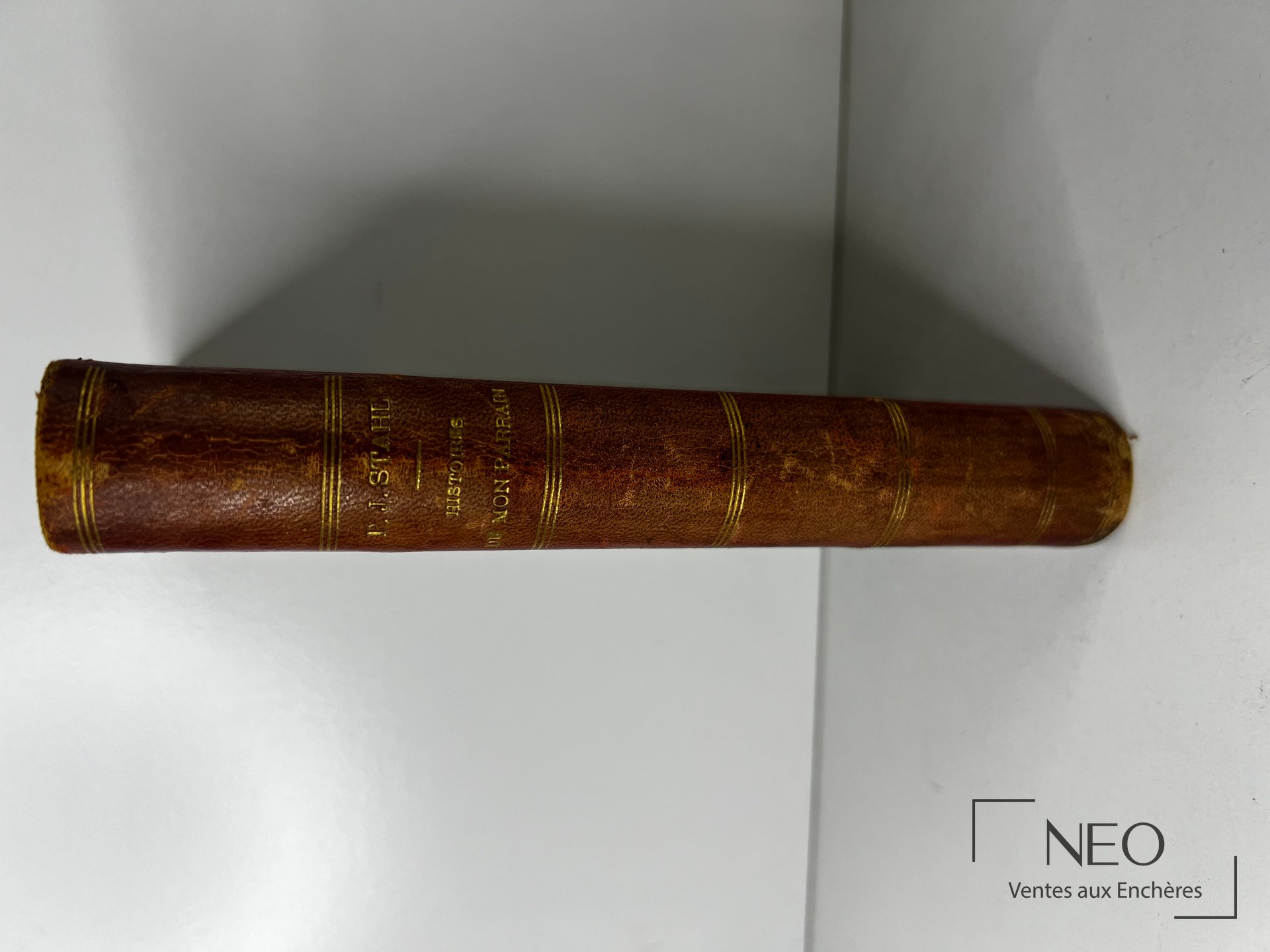 Dos en basane brune d’un livre ancien avec filets dorés et titre frappé or.