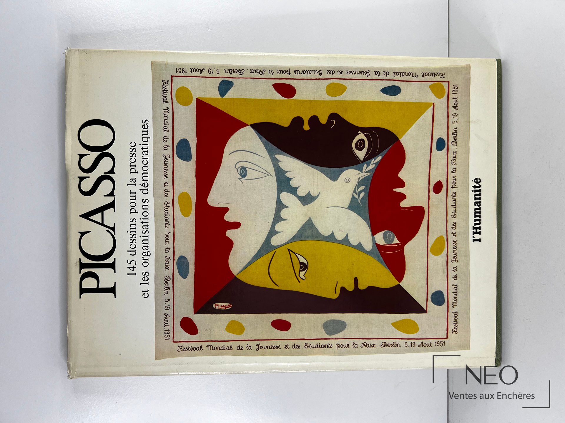 Couverture du livre de Pablo Picasso avec jaquette illustrée et grand titre vertical.