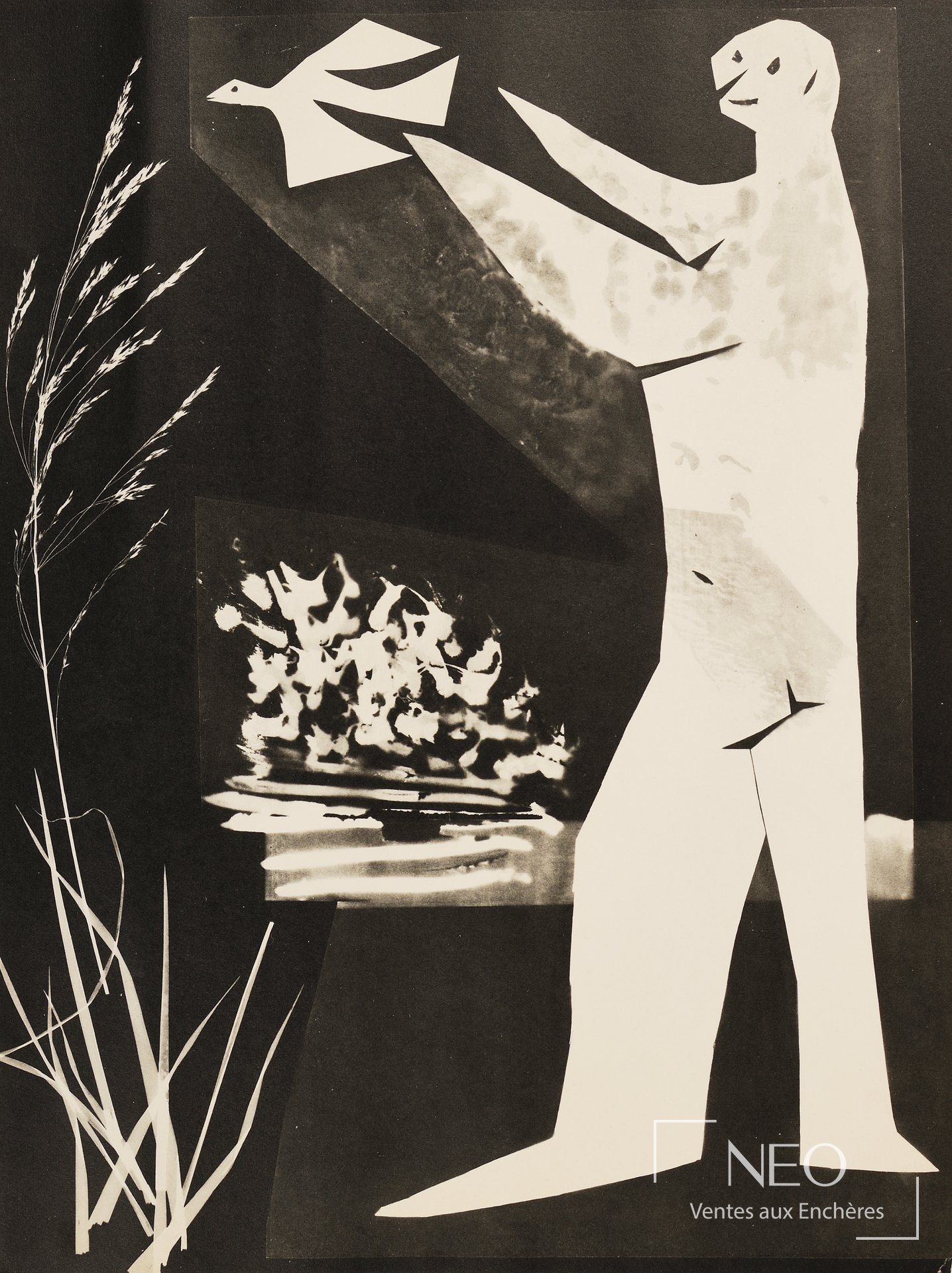 Phototypie en noir et blanc de Pablo Picasso d'après