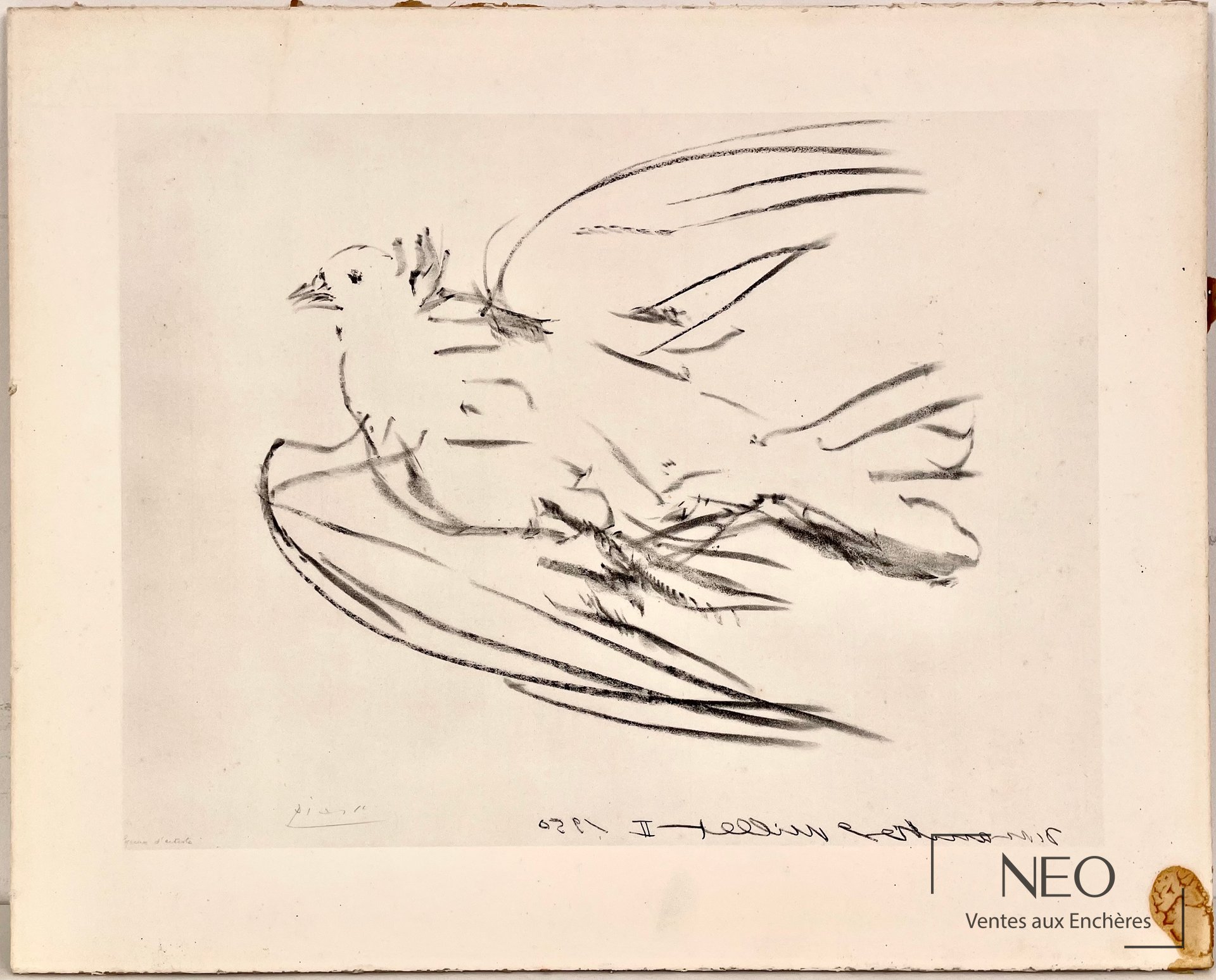 Impression sur papier d'après Pablo Picasso représentant une colombe en vol