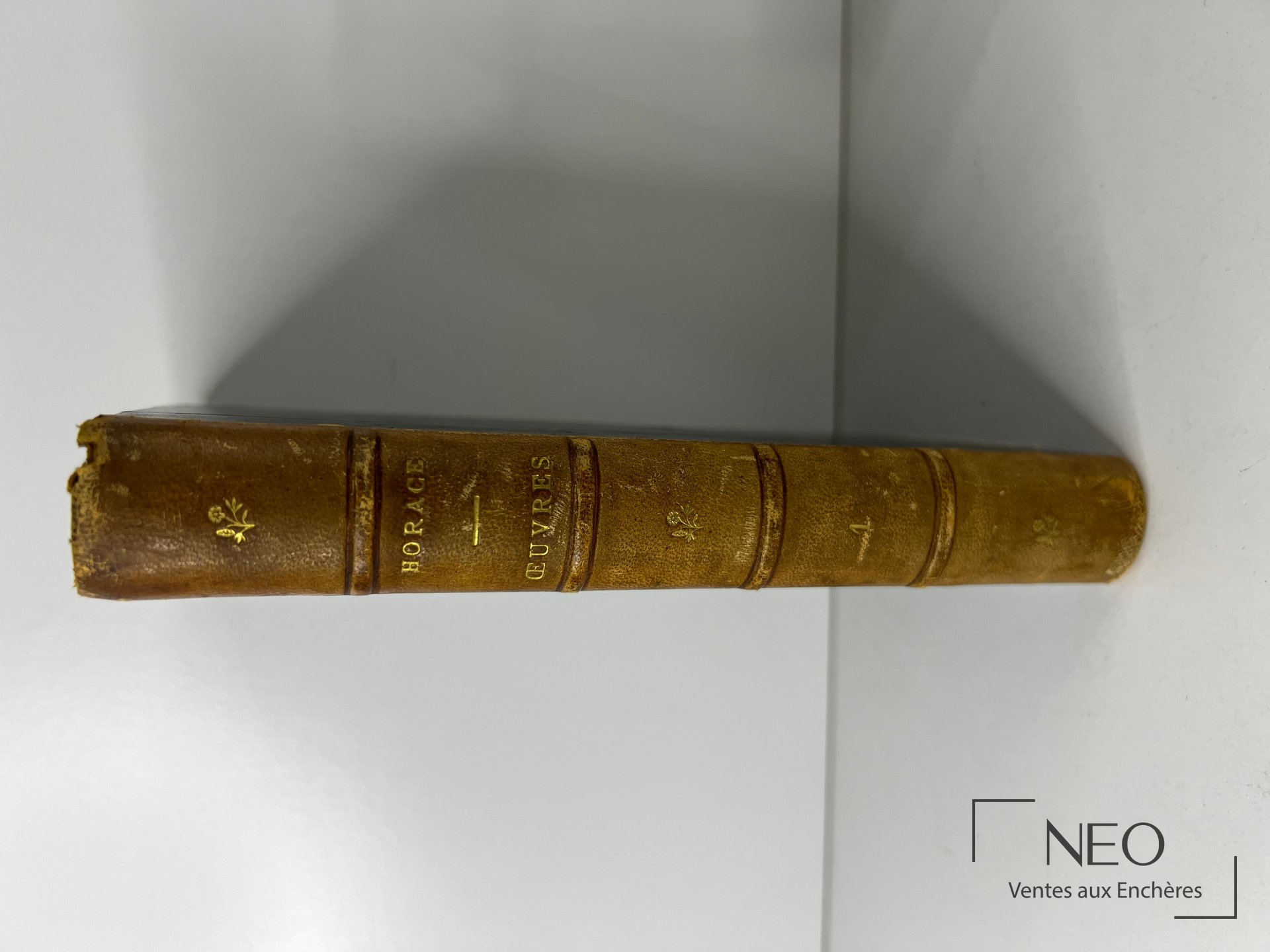 Dos en demi basane d un livre ancien avec titres dorés et usure visible en coiffe.