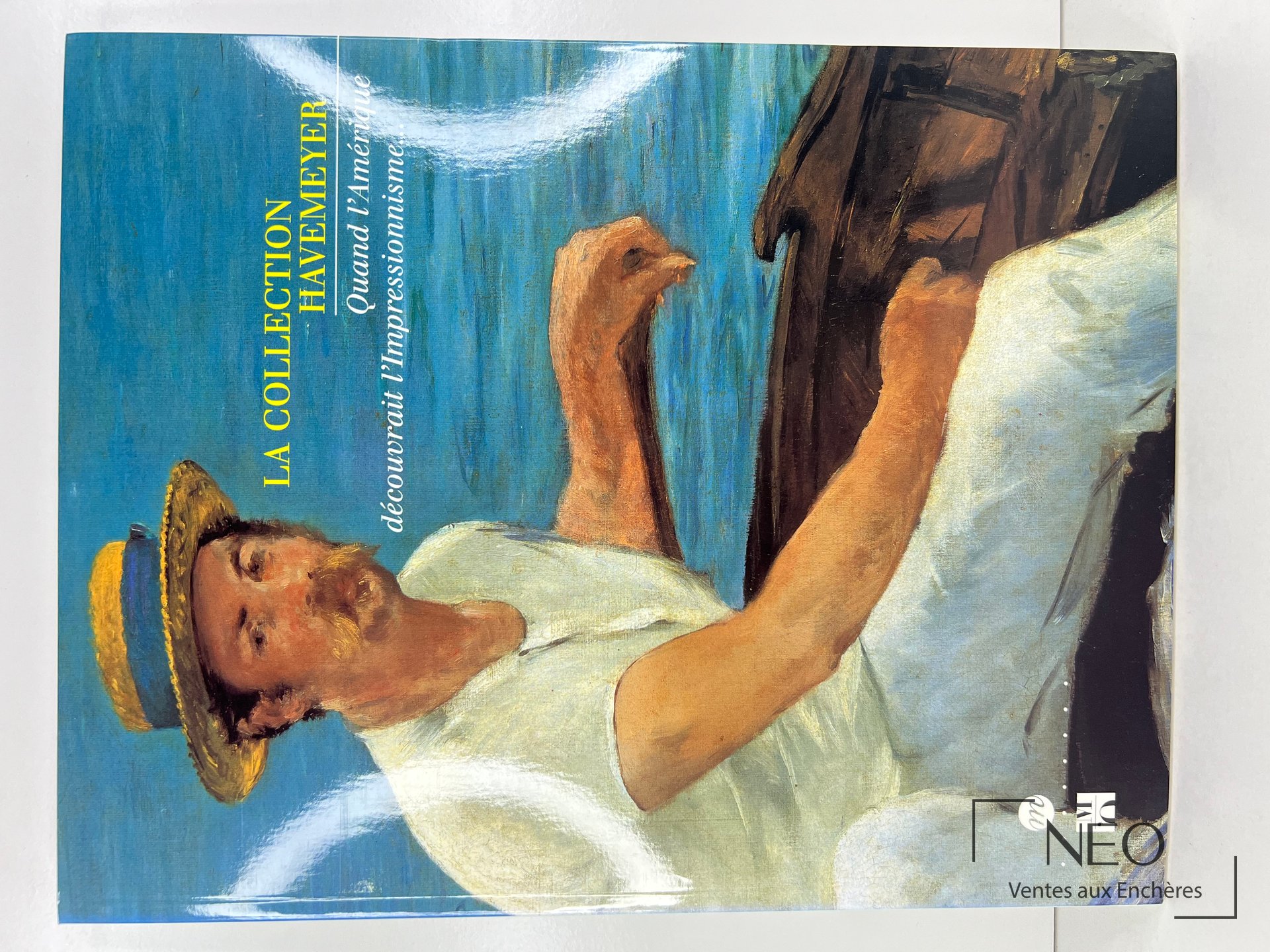 Couverture illustrée du catalogue La collection Havemeyer avec un personnage peint au bord de l’eau