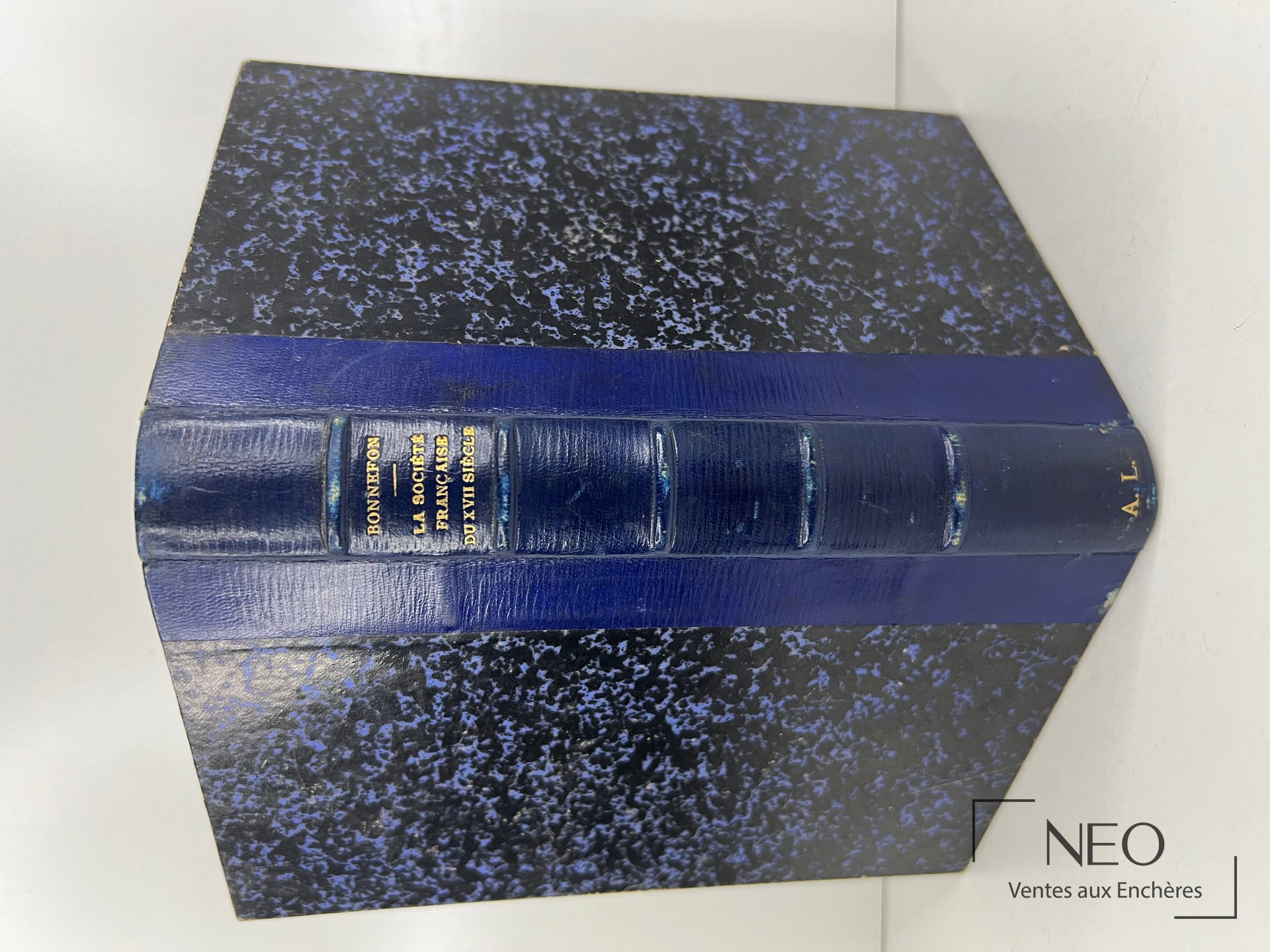 Dos d'un livre relié en maroquin bleu avec titre doré