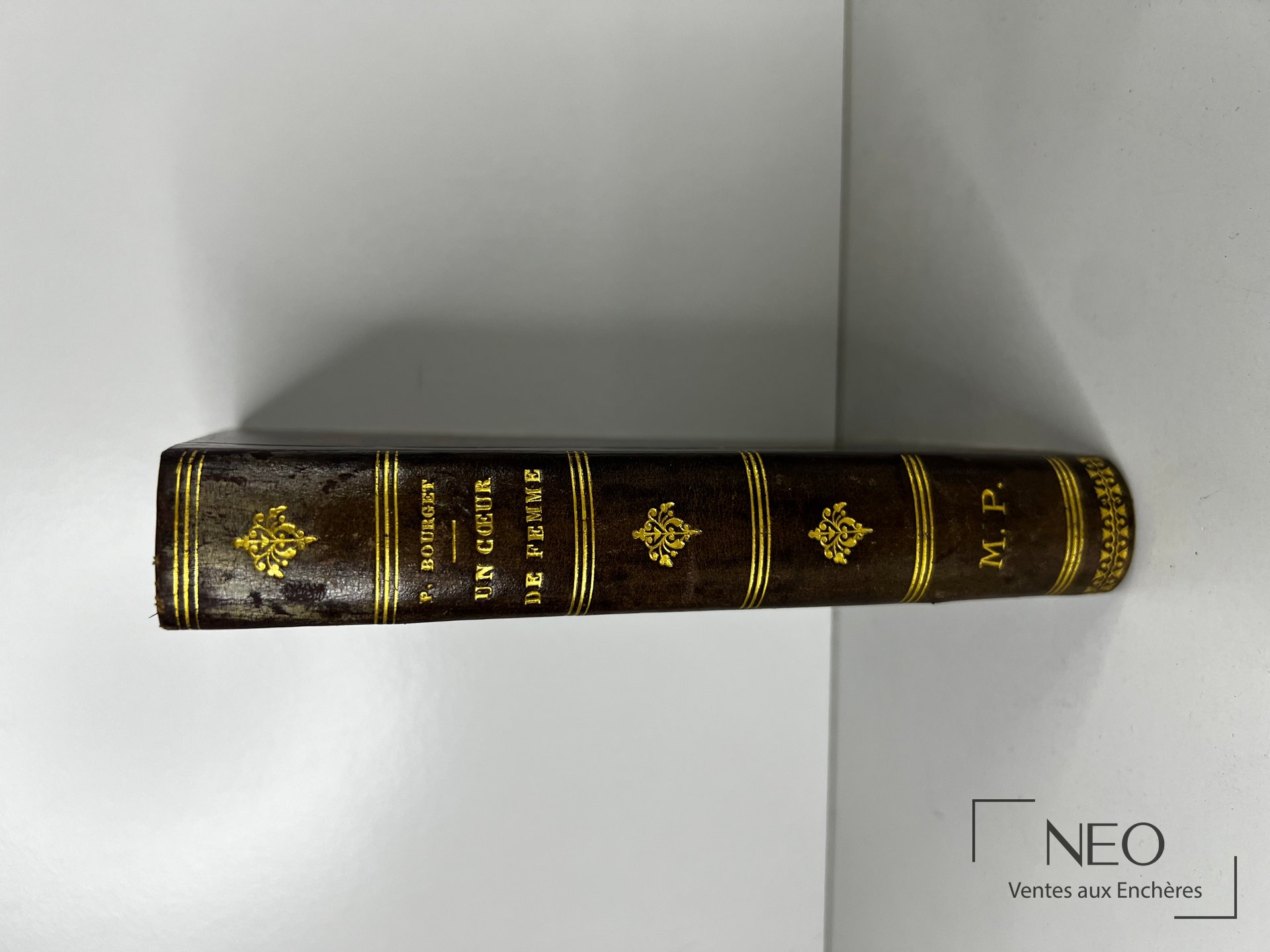 Dos d'un livre relié en basane sombre avec filets et titres dorés