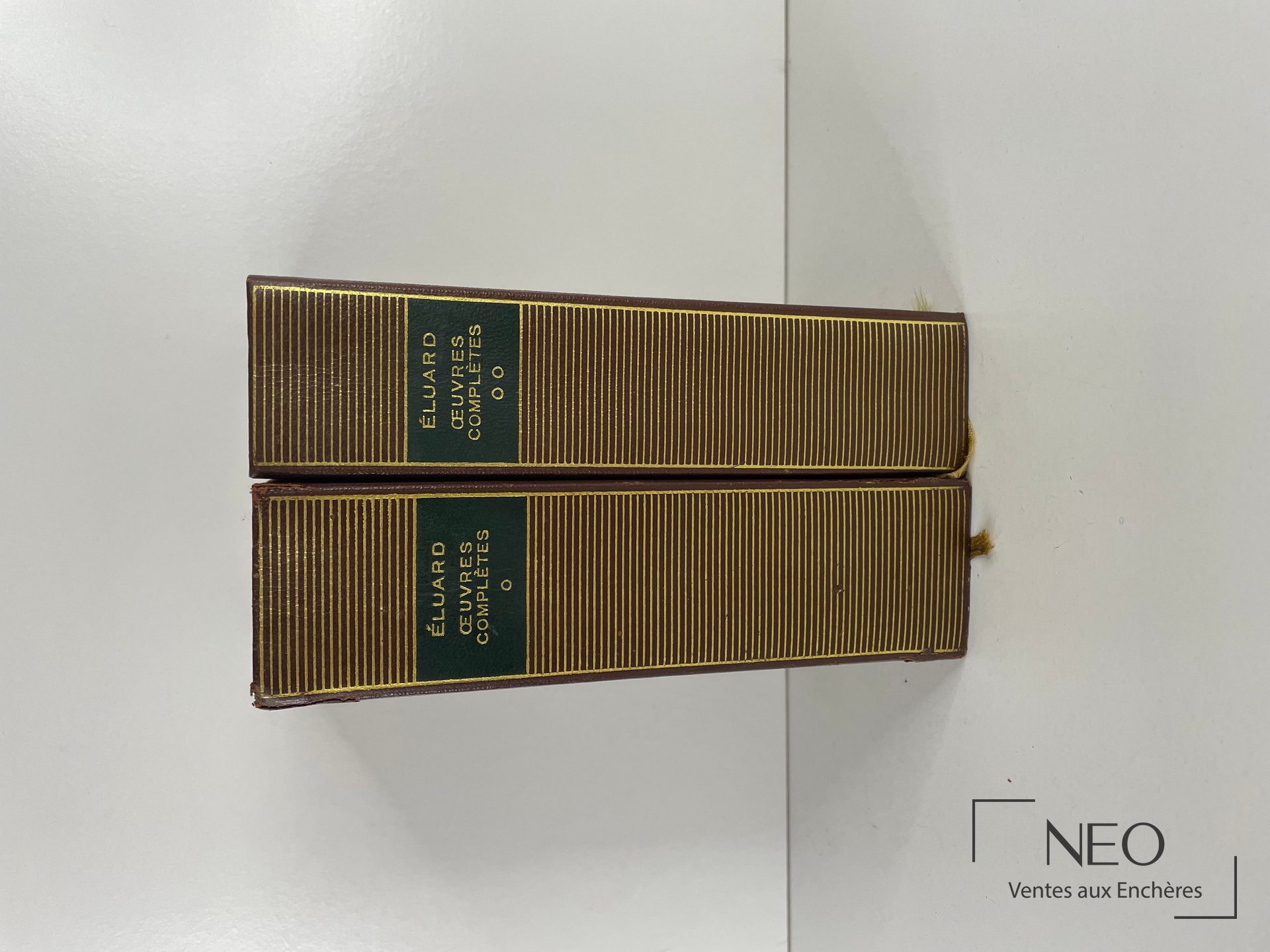 Dos des deux volumes de Paul Eluard en cartonnage brun et or