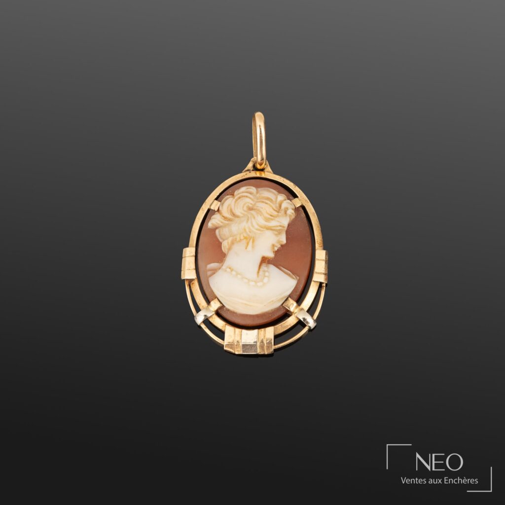 Pendentif en or jaune et gris avec camée féminin de profil