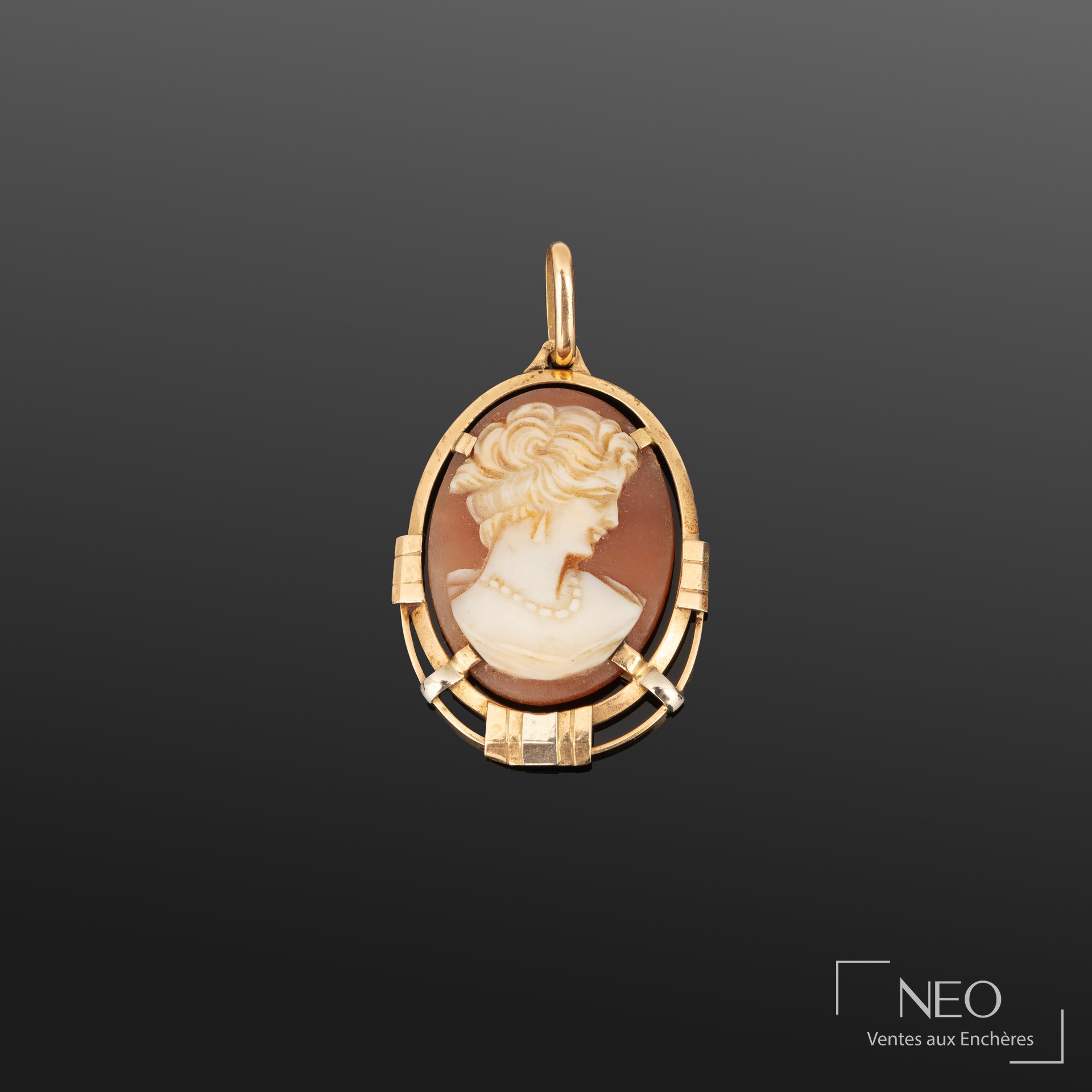Pendentif en or jaune et gris avec camée féminin de profil