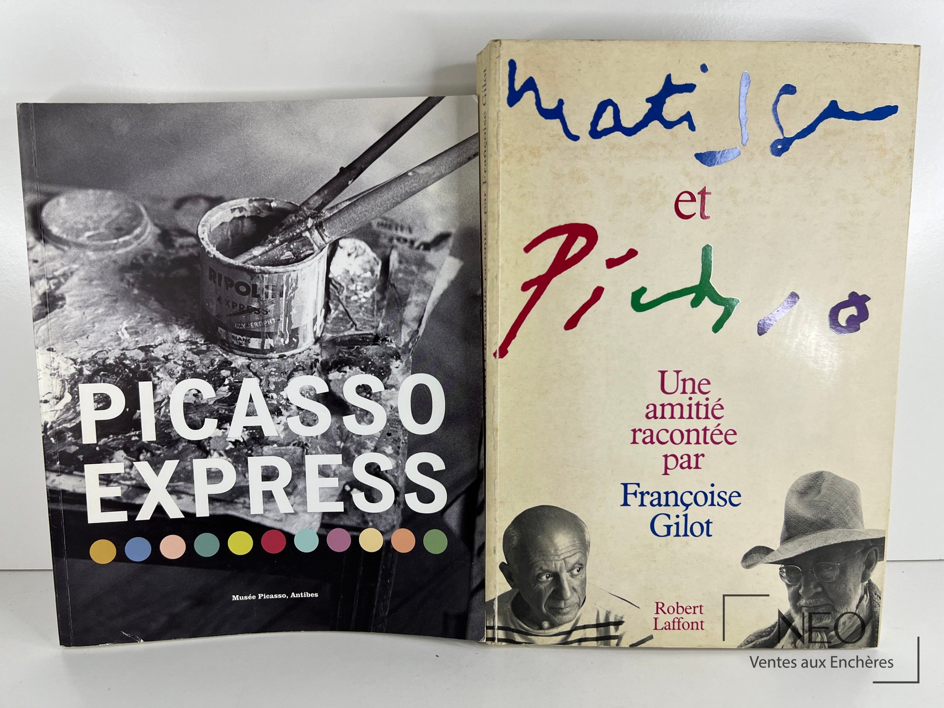 Deux livres sur Picasso et Matisse vus de face