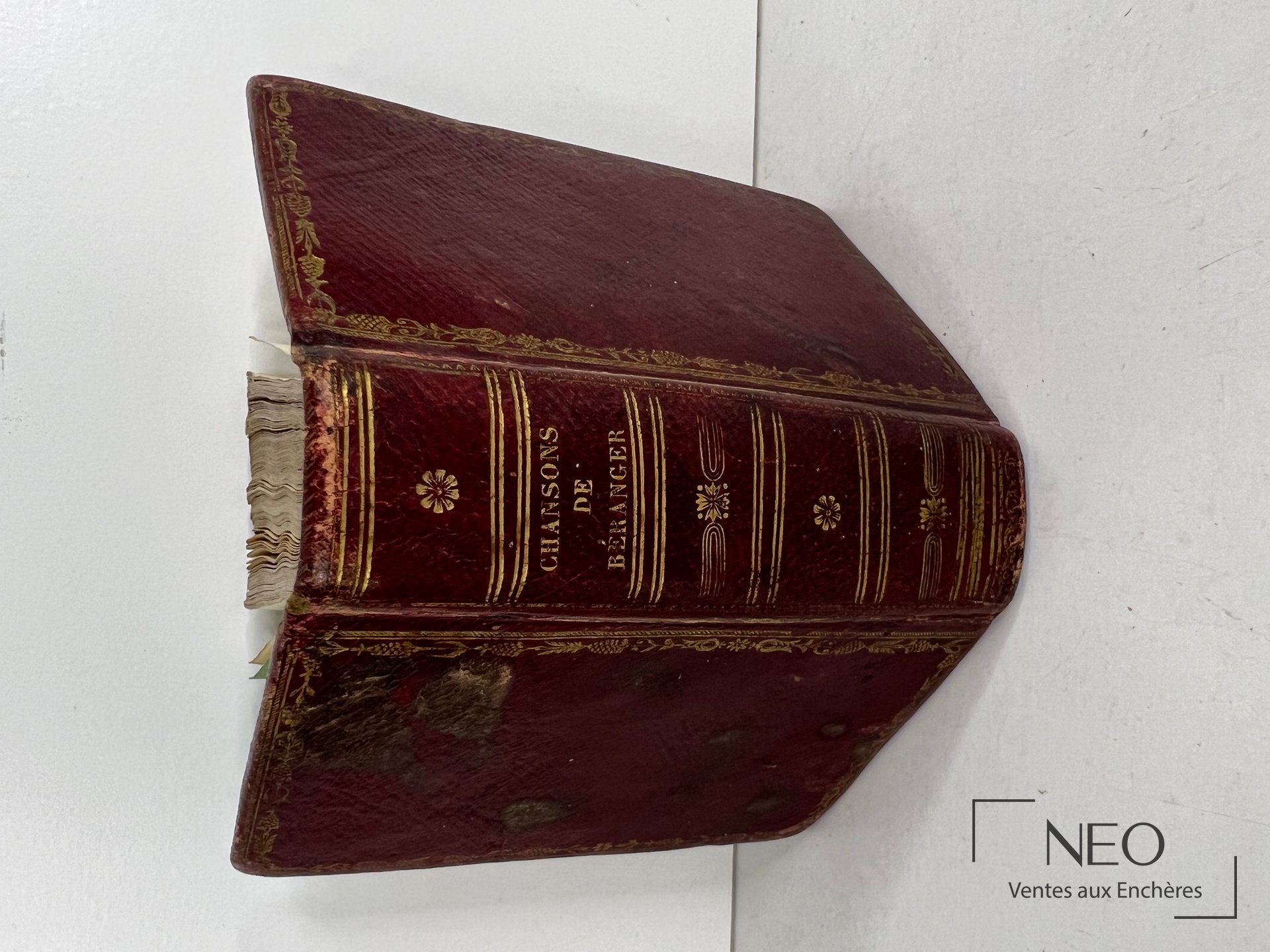 Dos d’un livre relié en maroquin rouge avec ornements dorés et titre au dos