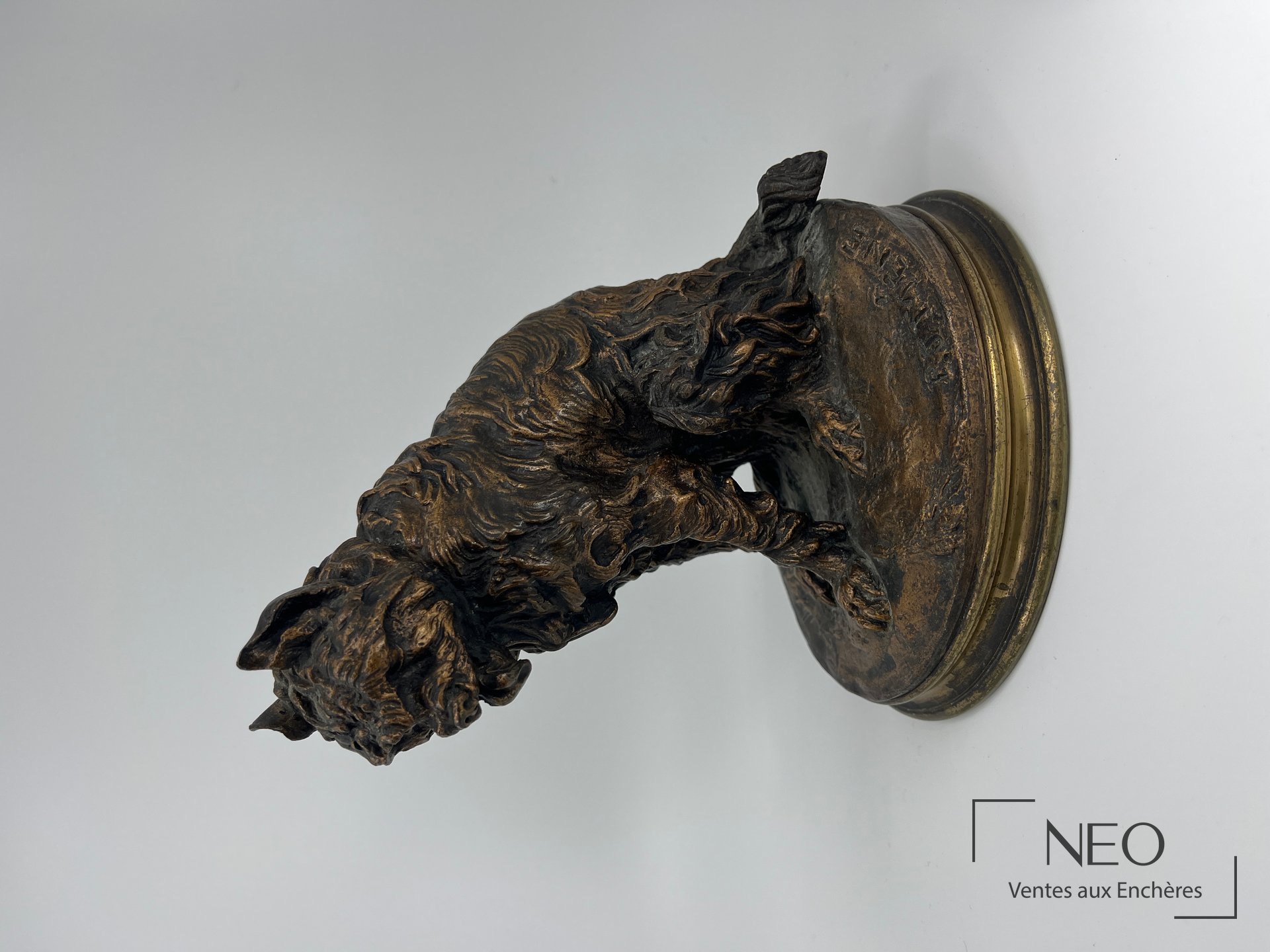 Griffon en bronze patiné vu de profil sur socle circulaire.