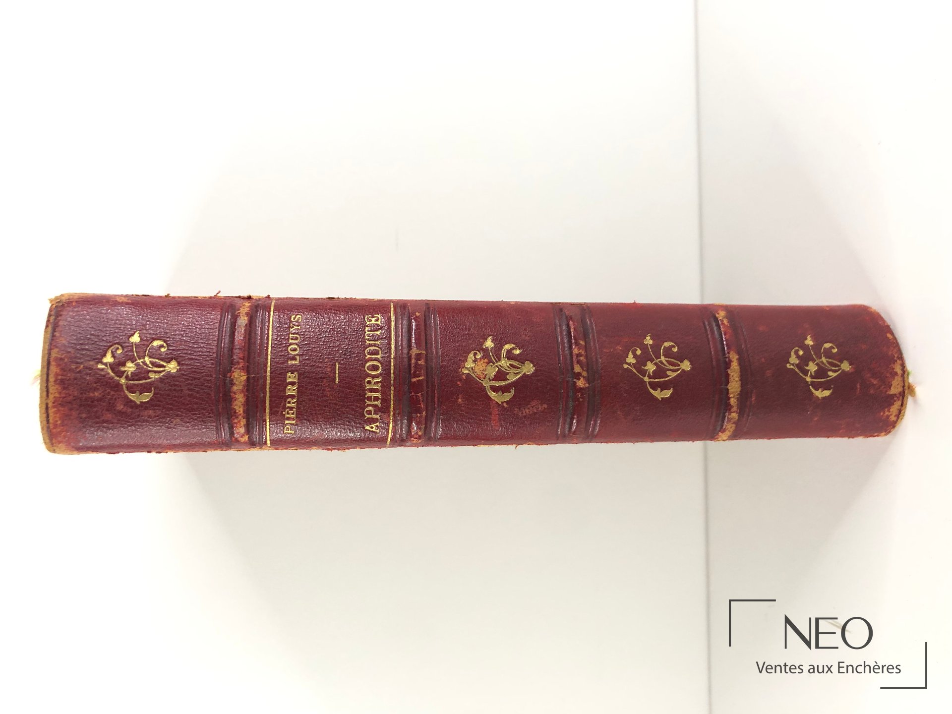 Dos en demi chagrin rouge avec nerfs et titre doré.